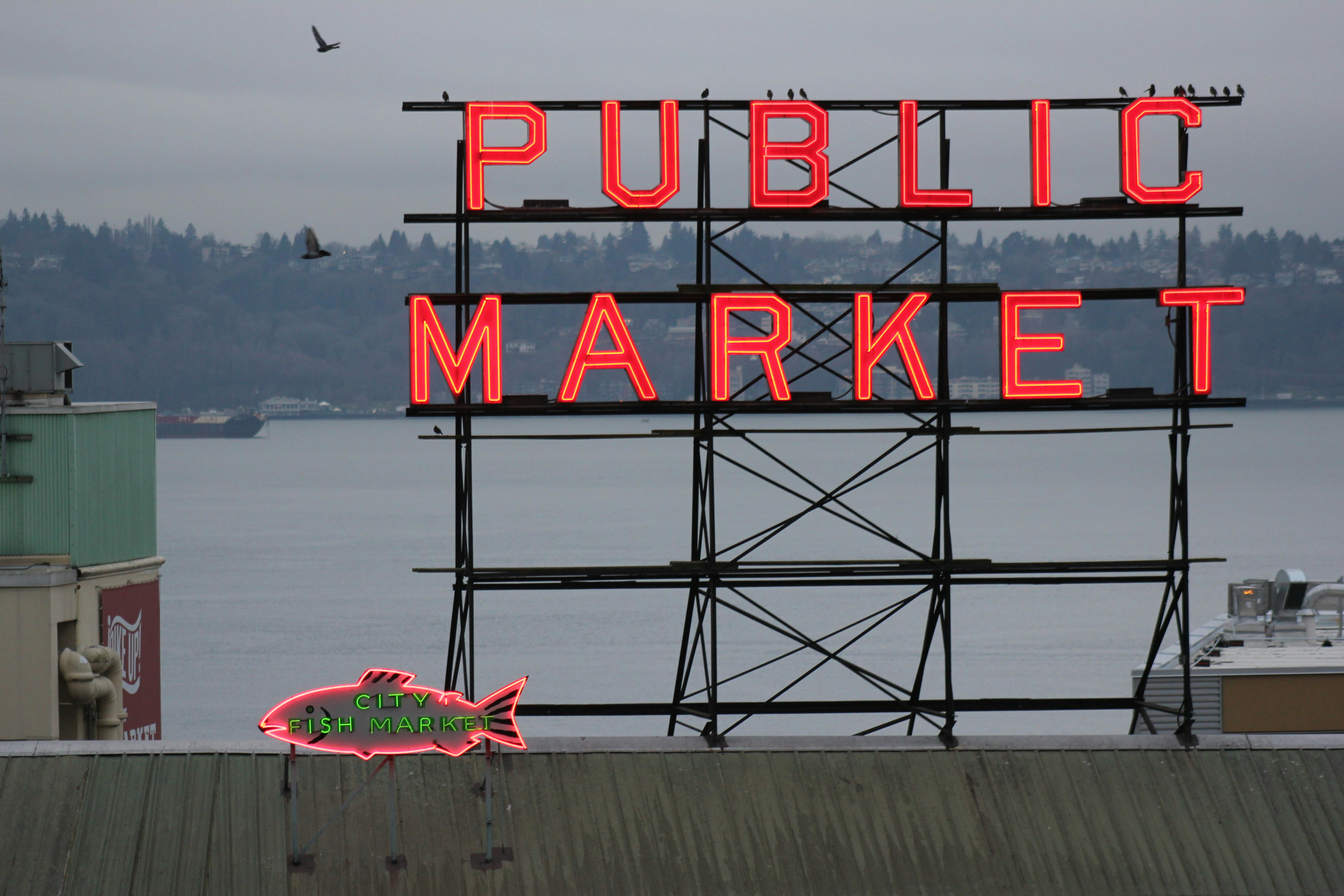 Free Unsplash photo from Laura Catarineau