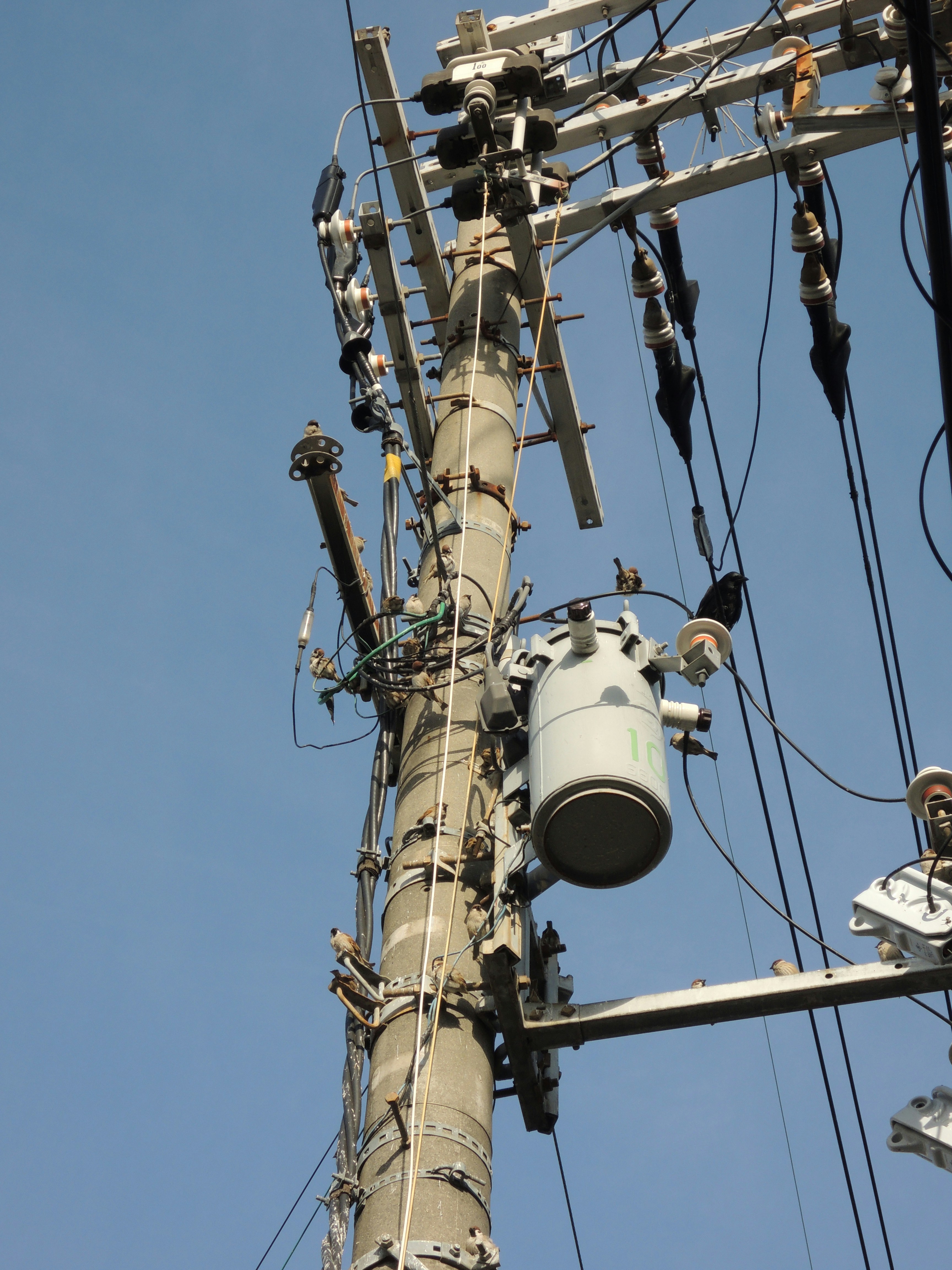 Free Unsplash photo from Kenji Rikitake