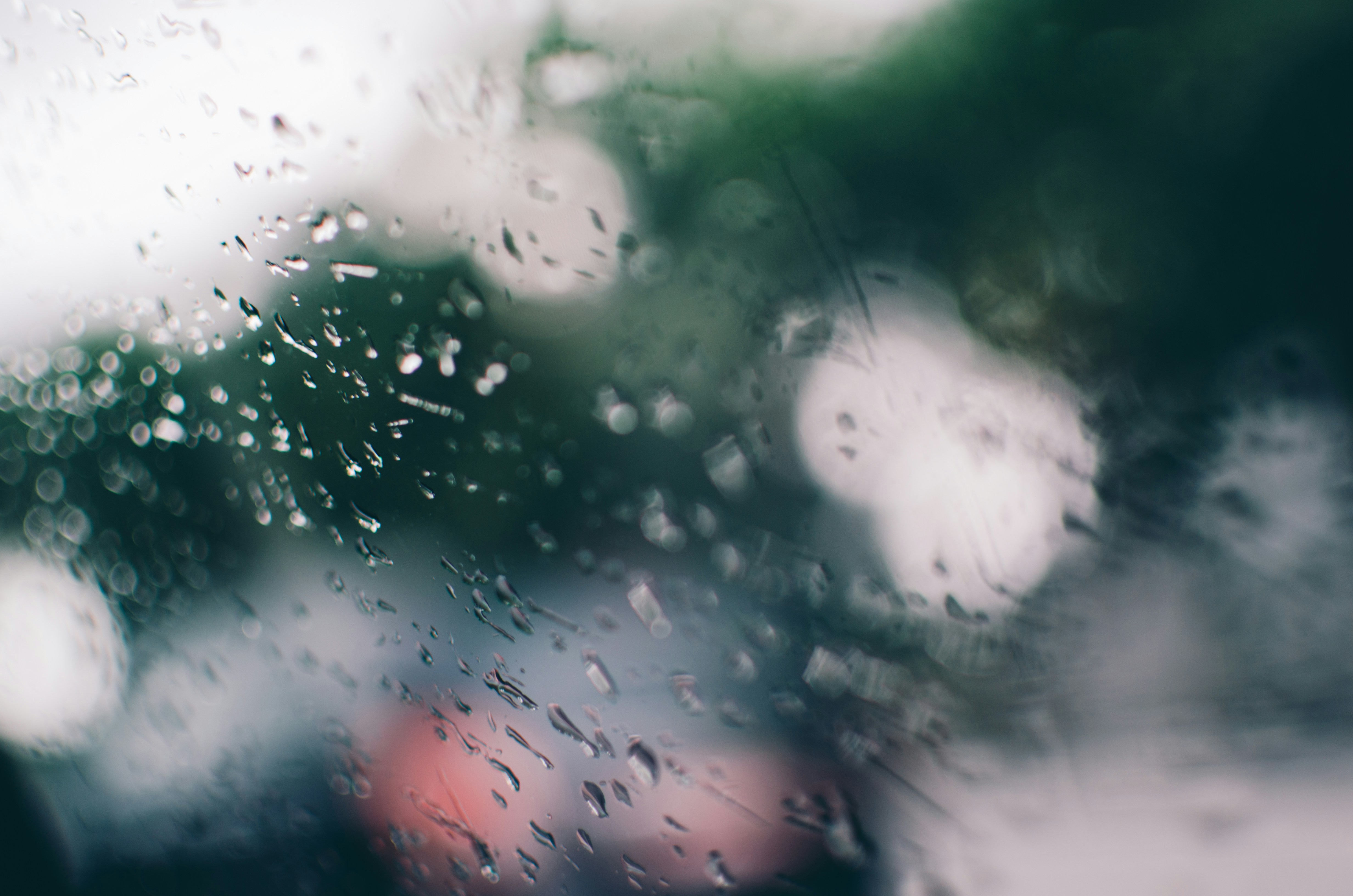 夜行动物电影百度影音，夜行动物电影百度影音下载