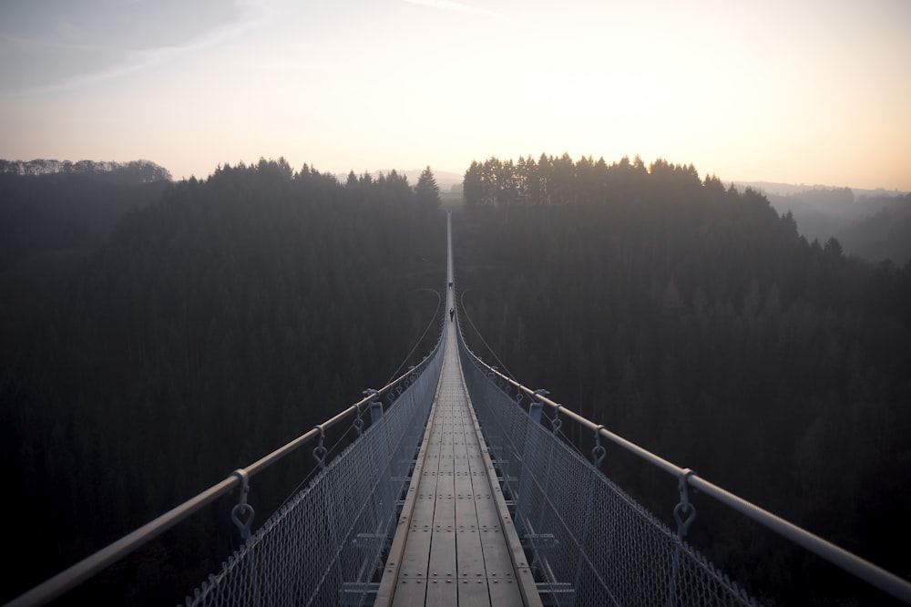ponte grigio