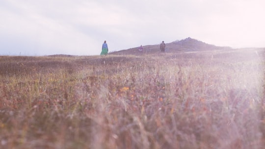person standing surrounded by grass under cloudy sky in Magadan Russia