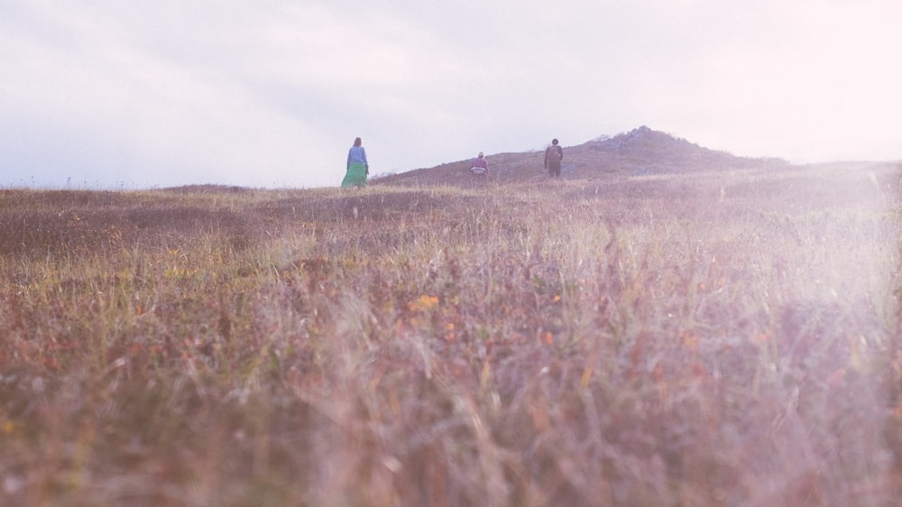 person standing surrounded by grass under cloudy sky