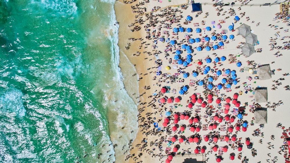 aerial view of people at the beach