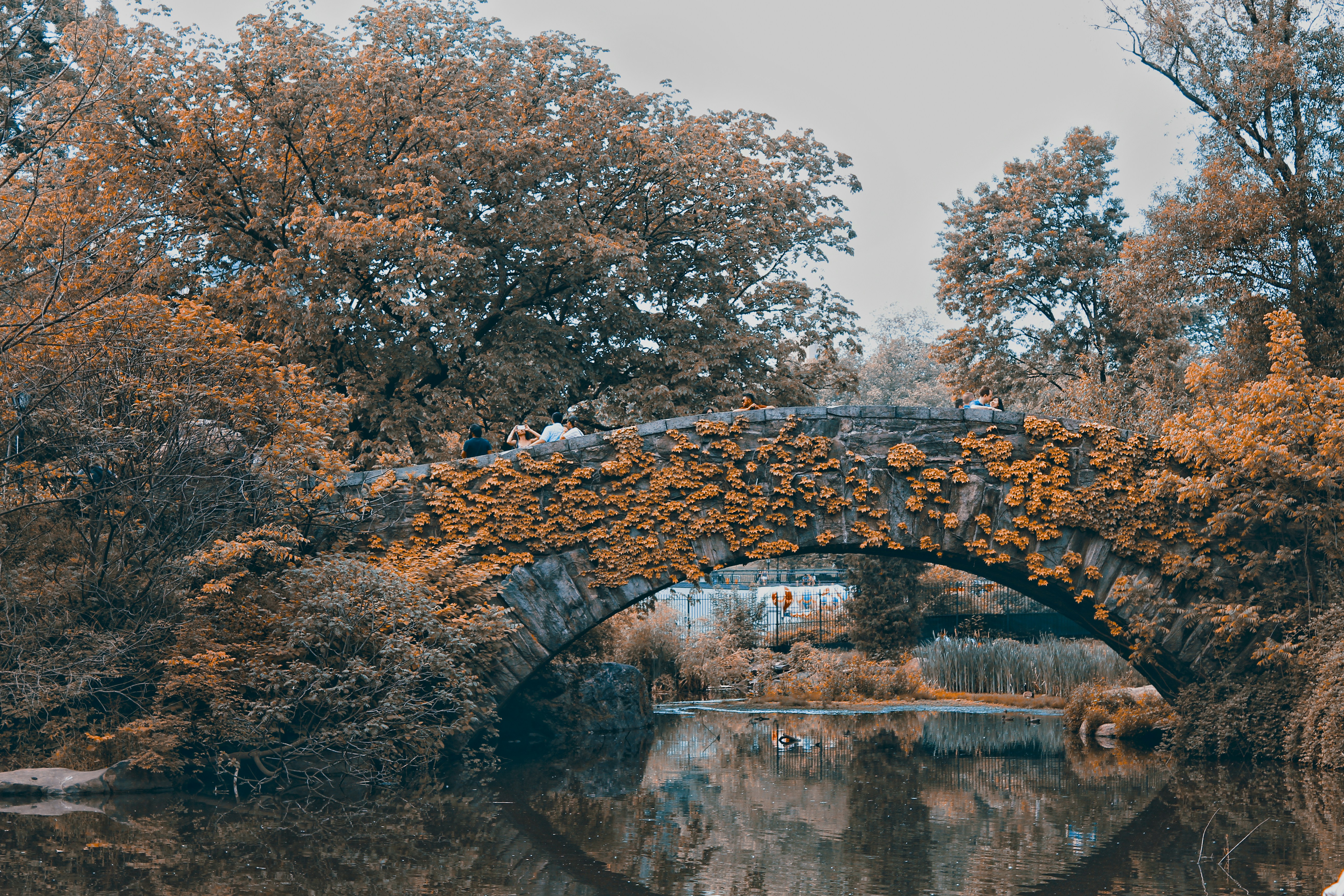 Free Unsplash photo from Patricia Jekki