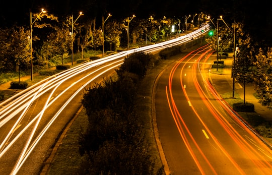 photo of Jette Road trip near Pairi Daiza