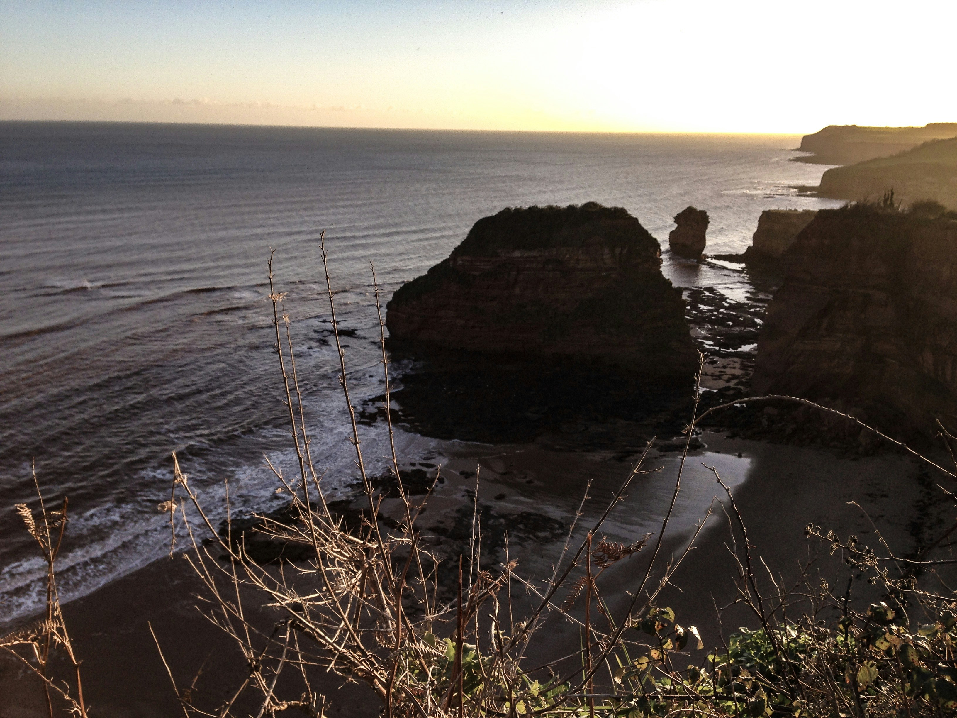 Free Unsplash photo from Milo Dennison