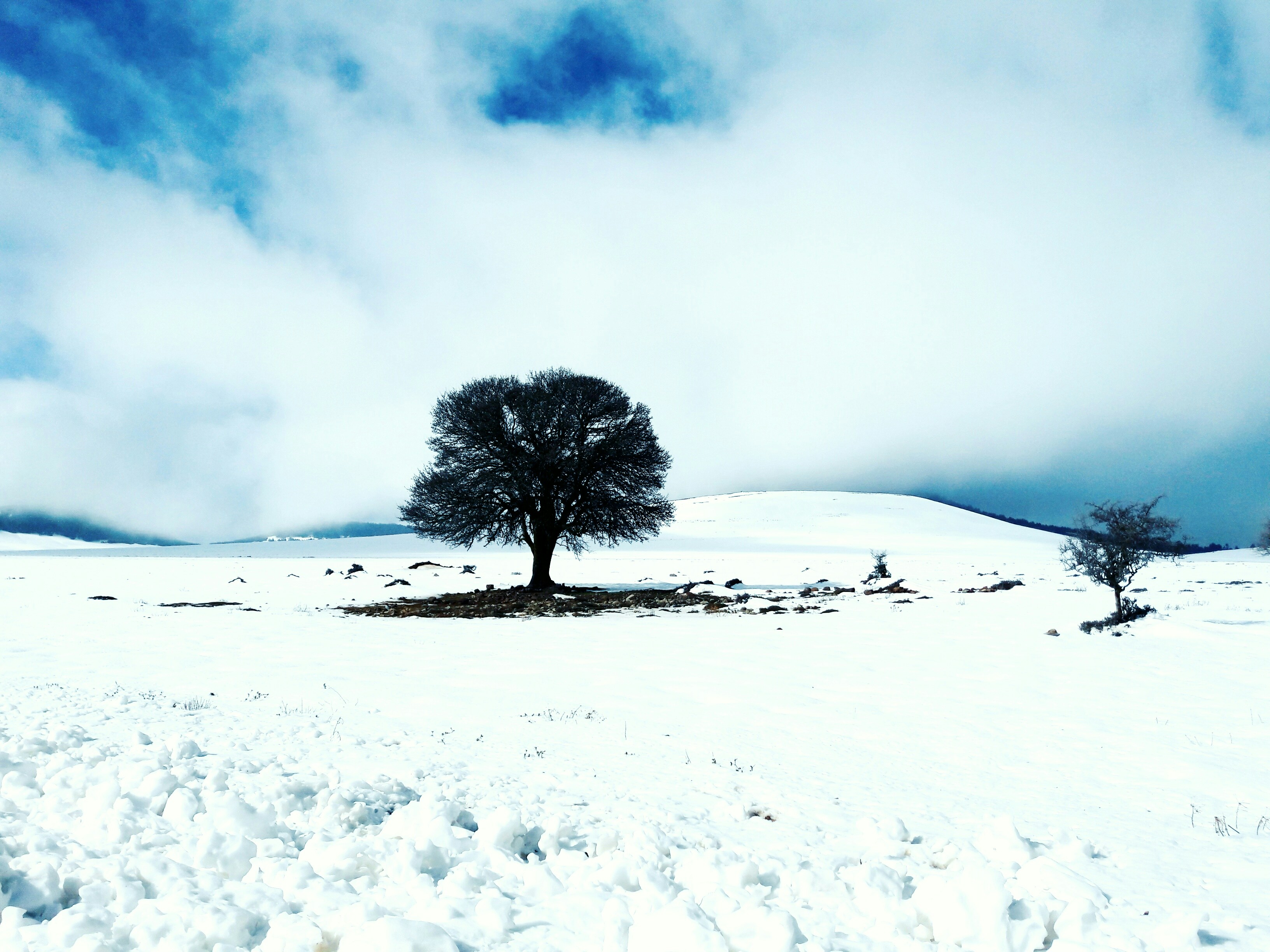 Free Unsplash photo from Taha Basri