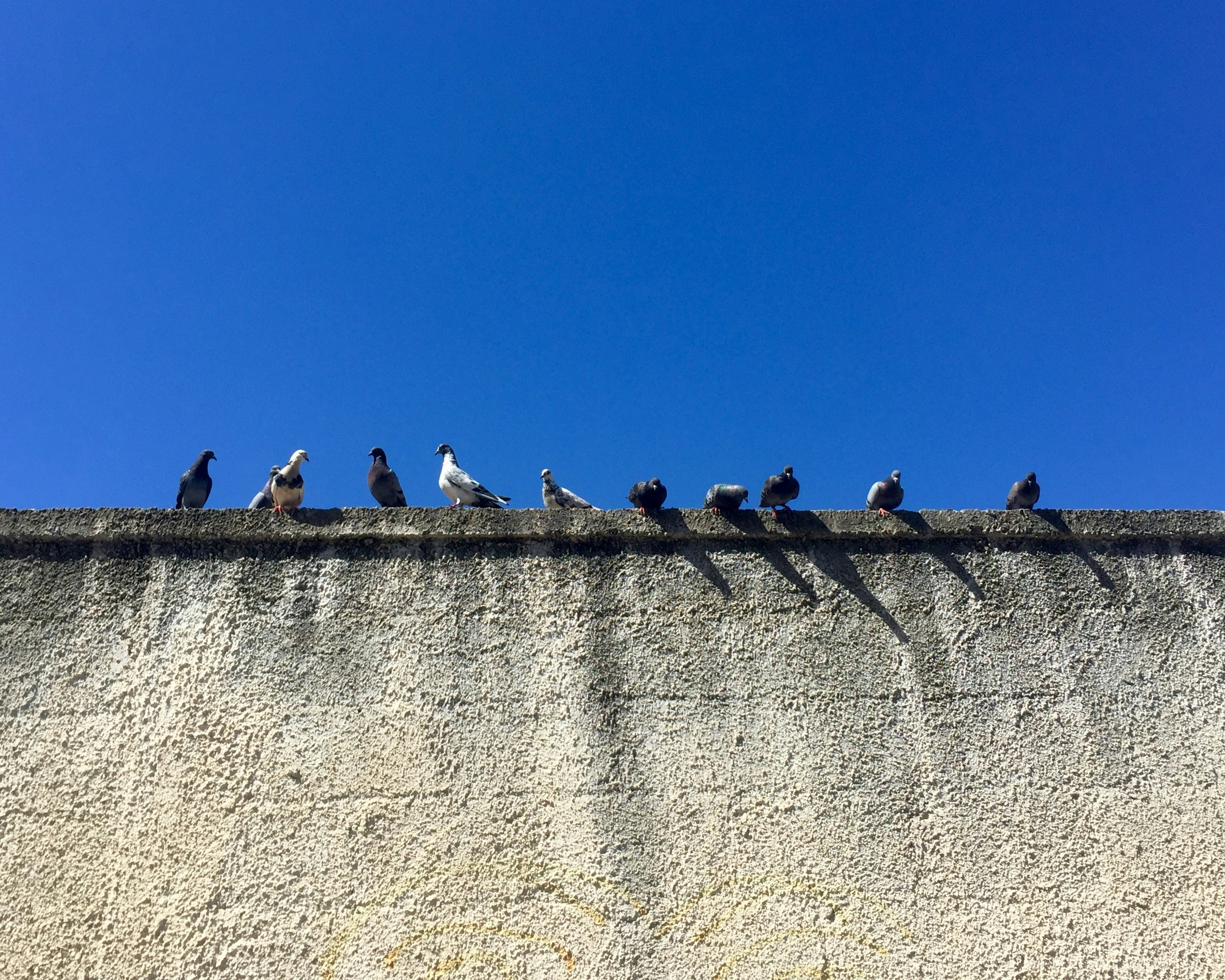 Free Unsplash photo from Fabio Ruggiero