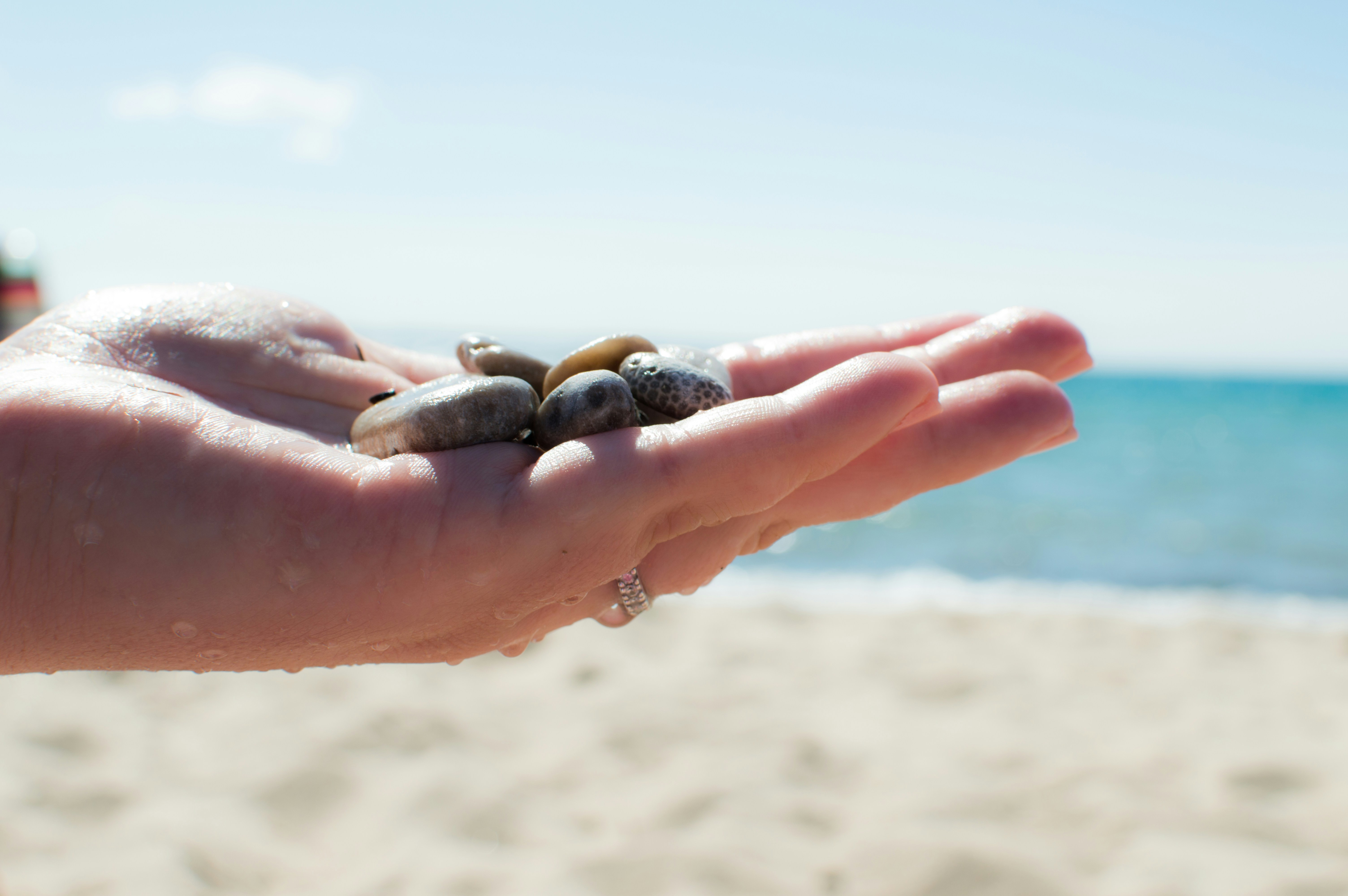 Close-up of hands gently holding a smooth stone beside green foliage.