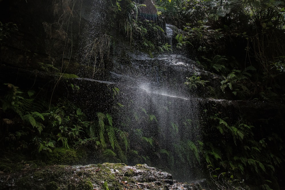 photography of waterfall