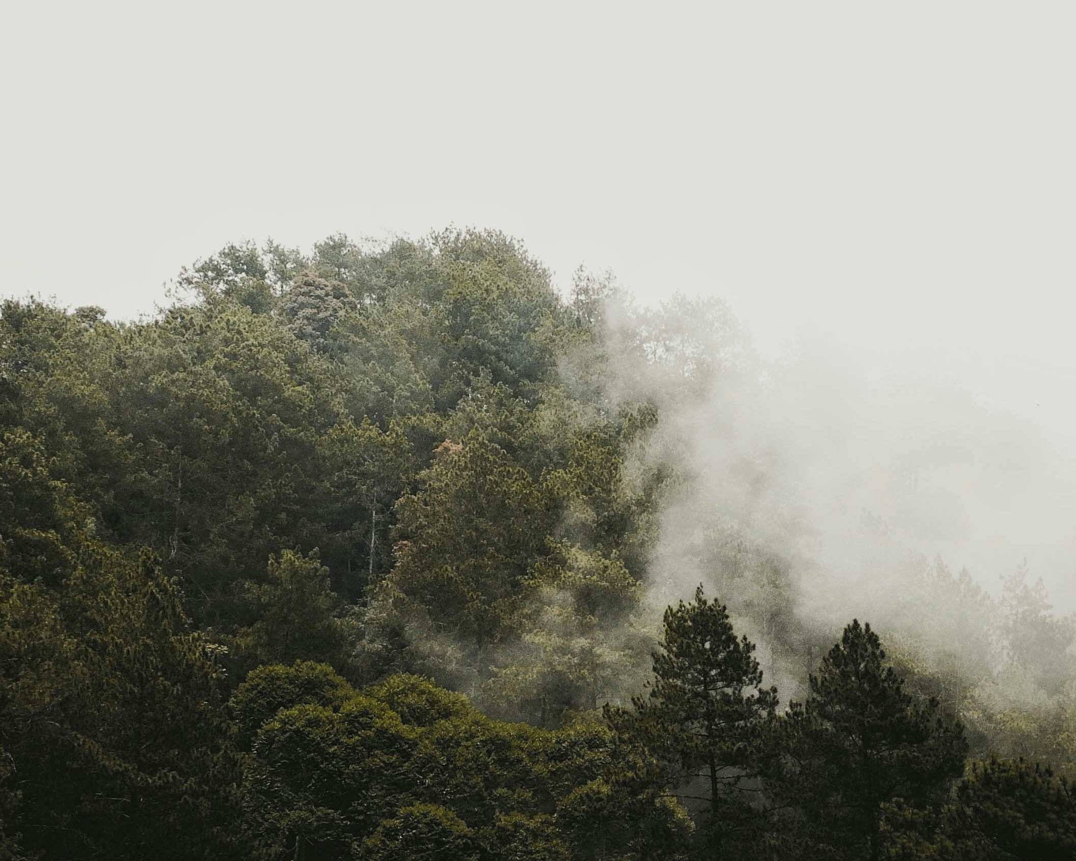 Free Unsplash photo from Dian Herdiansyah