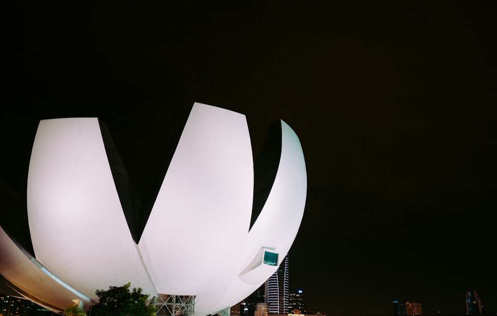 夜の白い花の形の建物