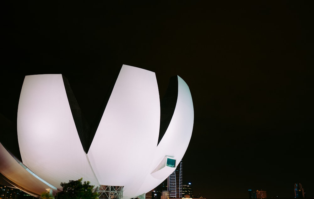 Edificio en forma de flor blanca por la noche