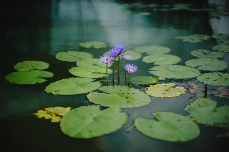 Mindful People Are Better at Supporting Others, Study Finds