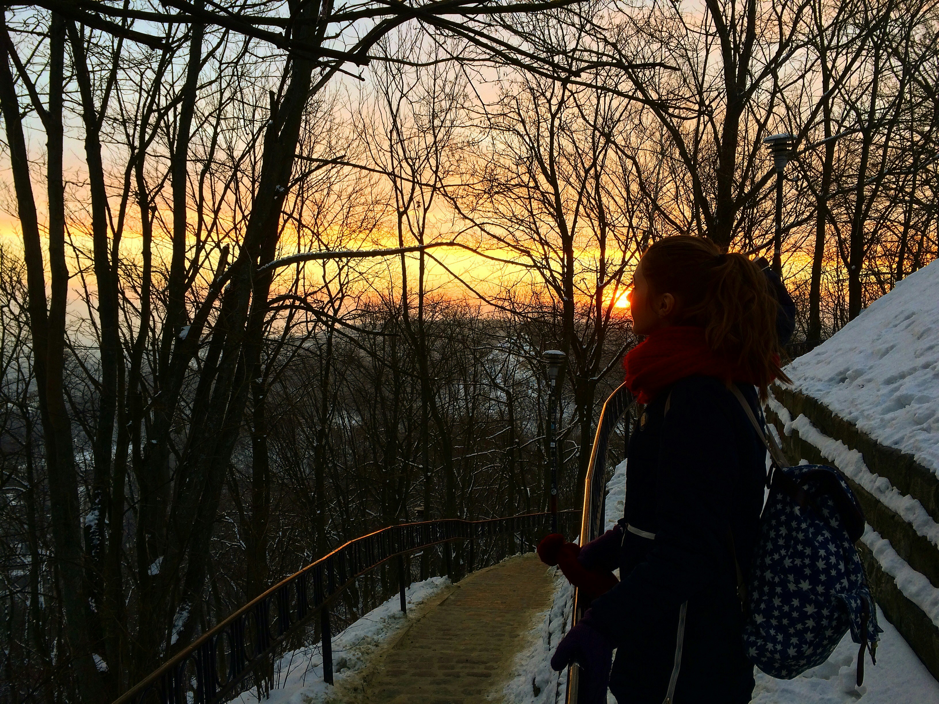 Free Unsplash photo from Ivan Monarkha