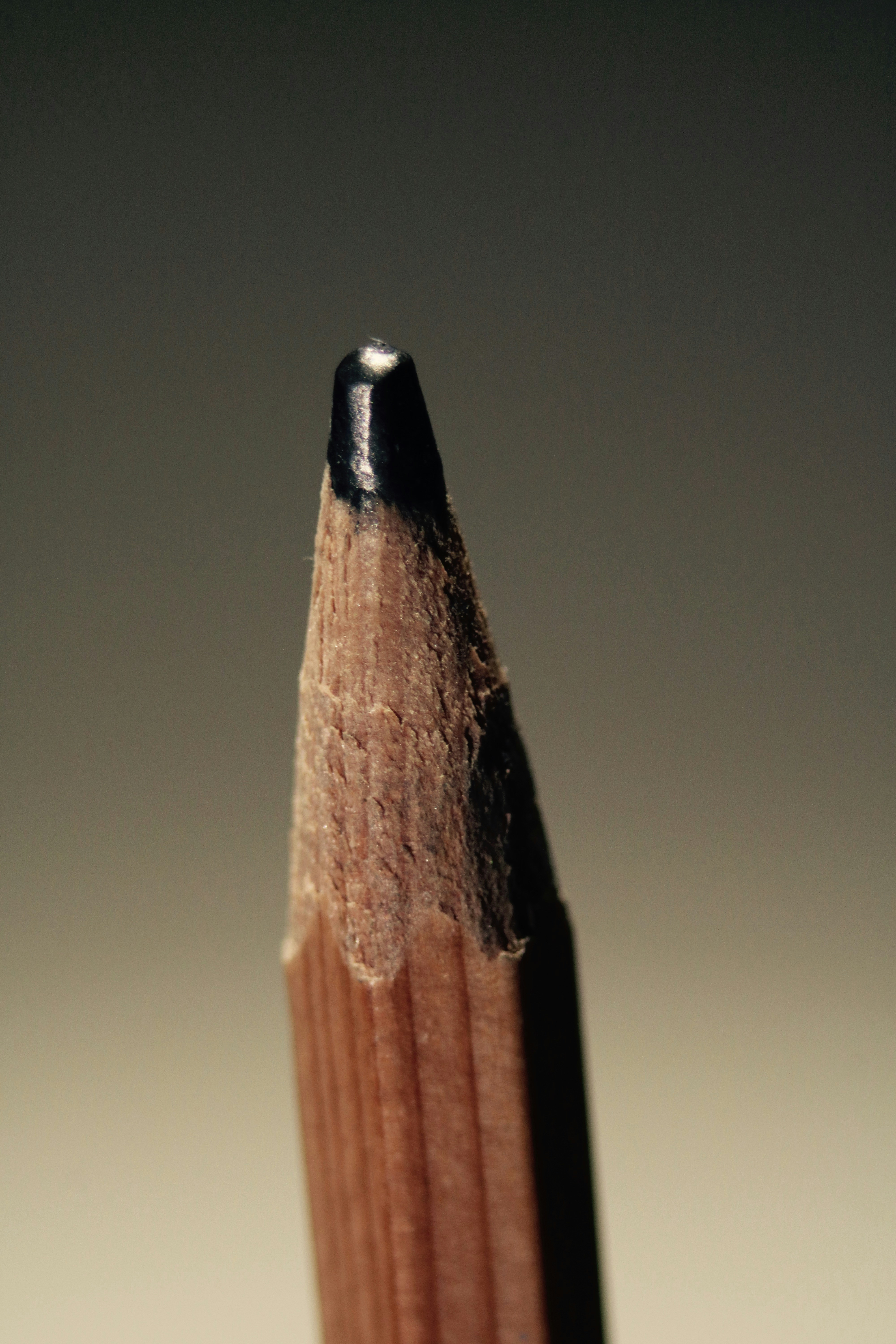 Free Unsplash photo from Andrew Walton