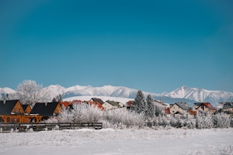 brown wooden house on snow covered ground during daytime