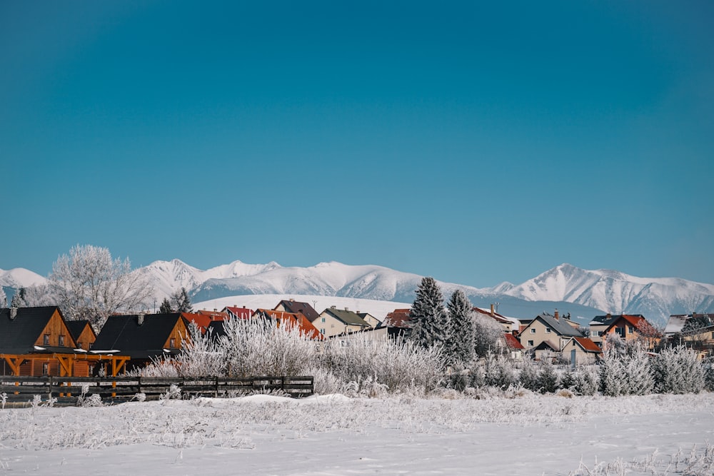 brown wooden house on snow covered ground during daytime