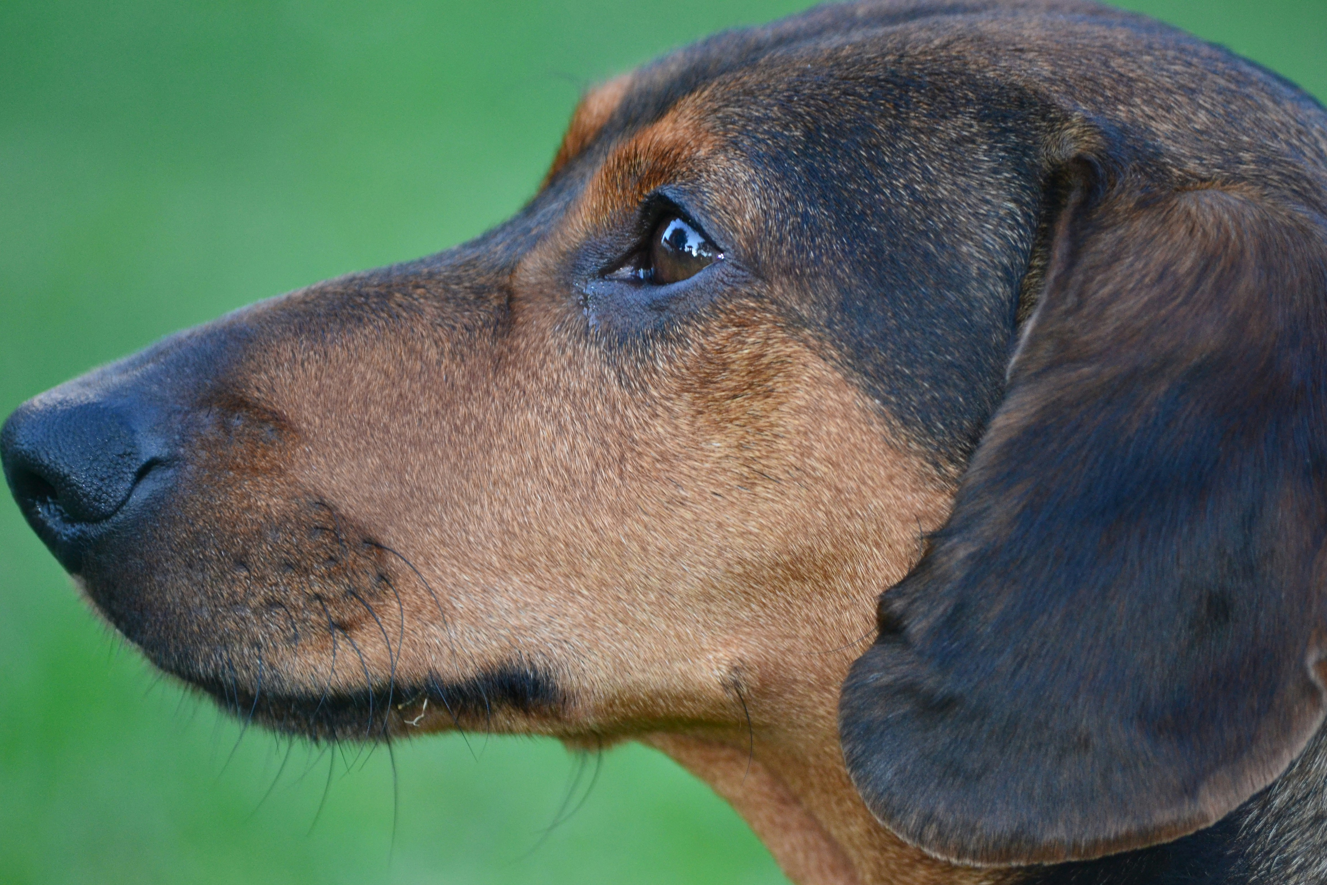 Free Unsplash photo from Szűcs László