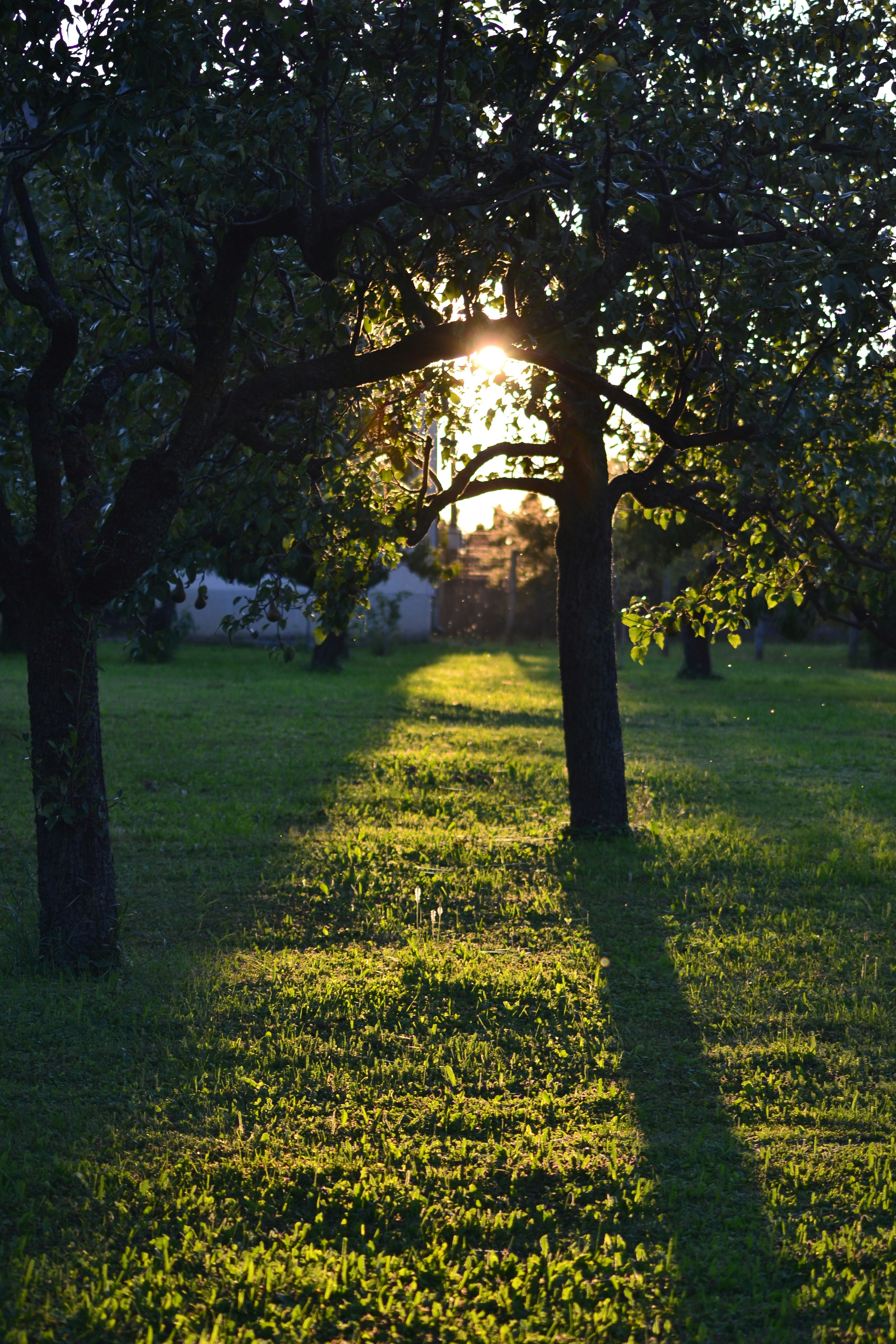 Free Unsplash photo from Szűcs László