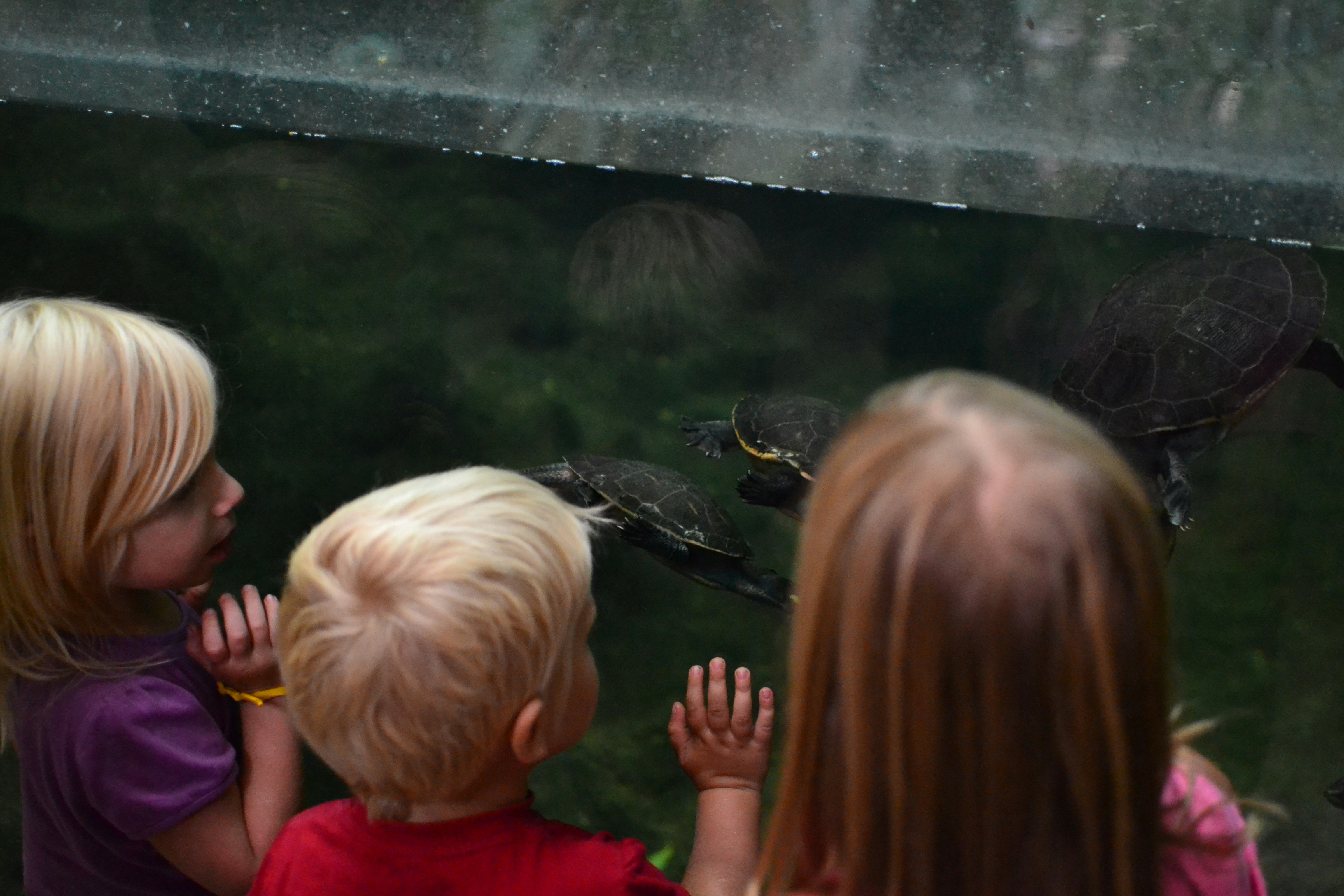 Free Unsplash photo from Szűcs László