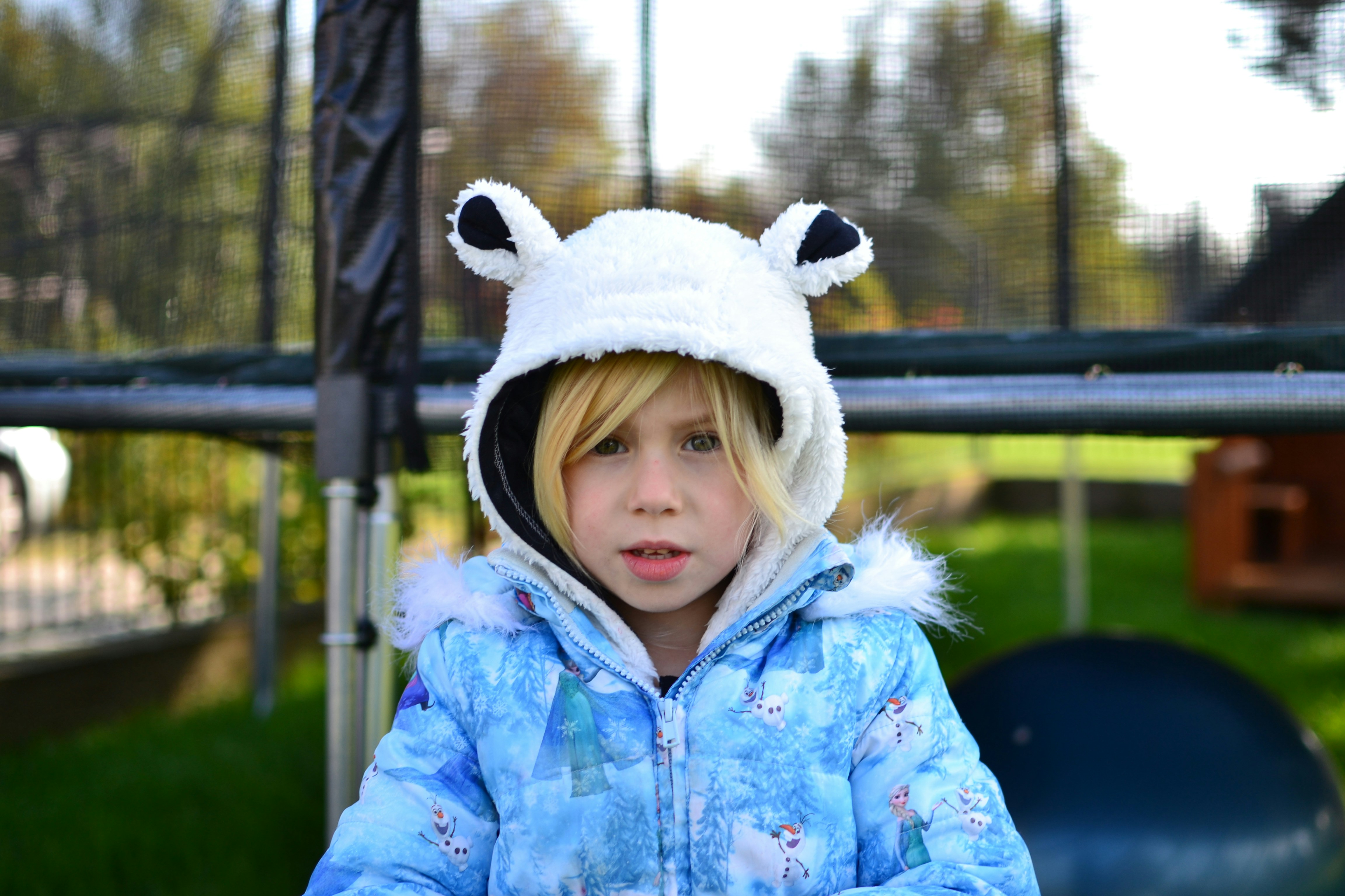 Free Unsplash photo from Szűcs László