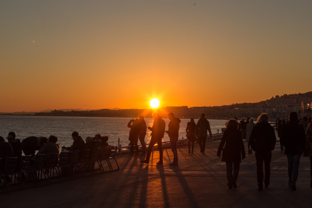 silhouette of people on seashore