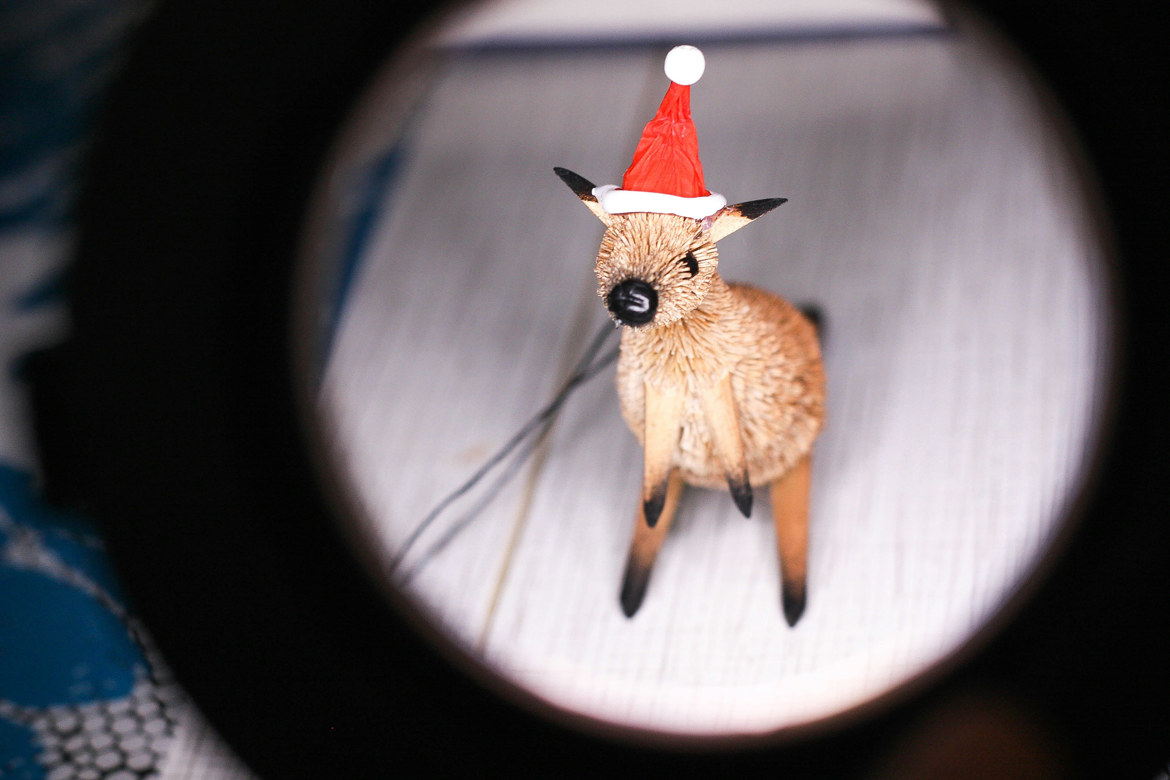 Free Unsplash photo from Catherine Zaidova