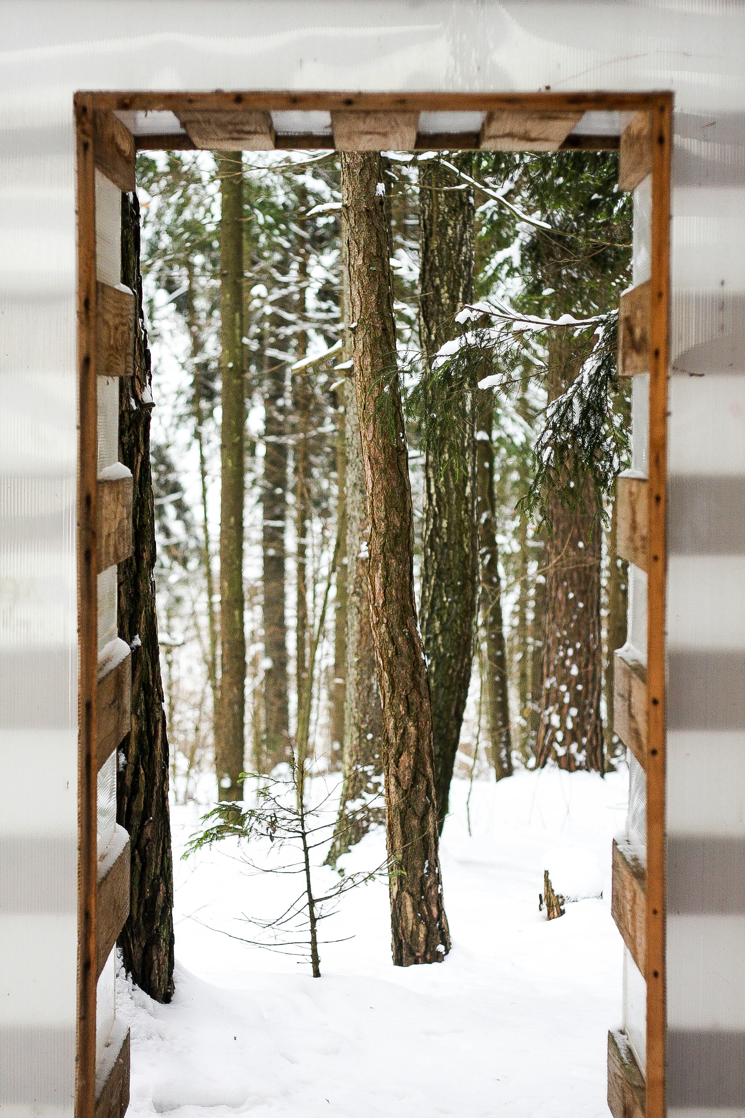 Free Unsplash photo from Catherine Zaidova