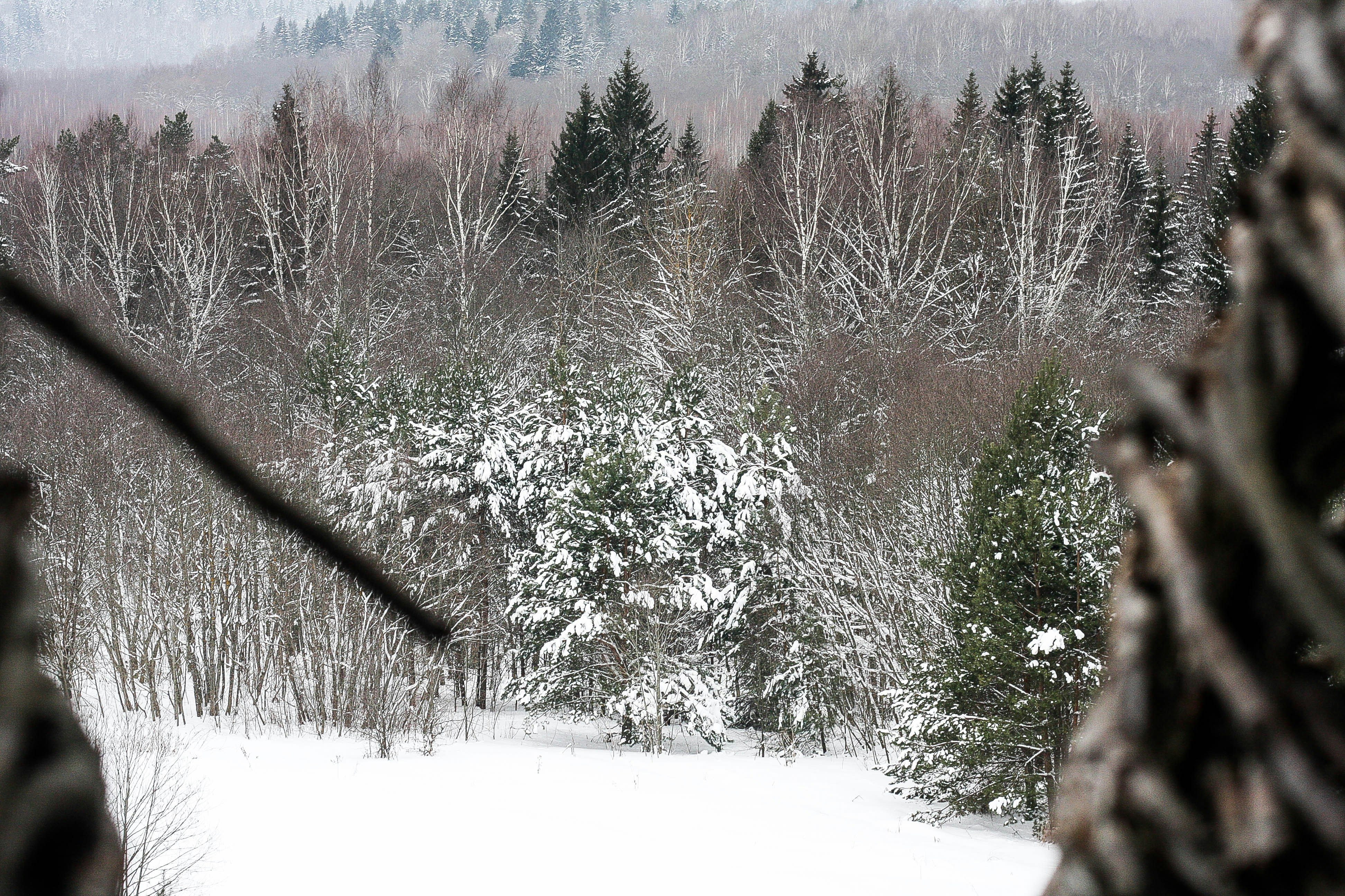 Free Unsplash photo from Catherine Zaidova