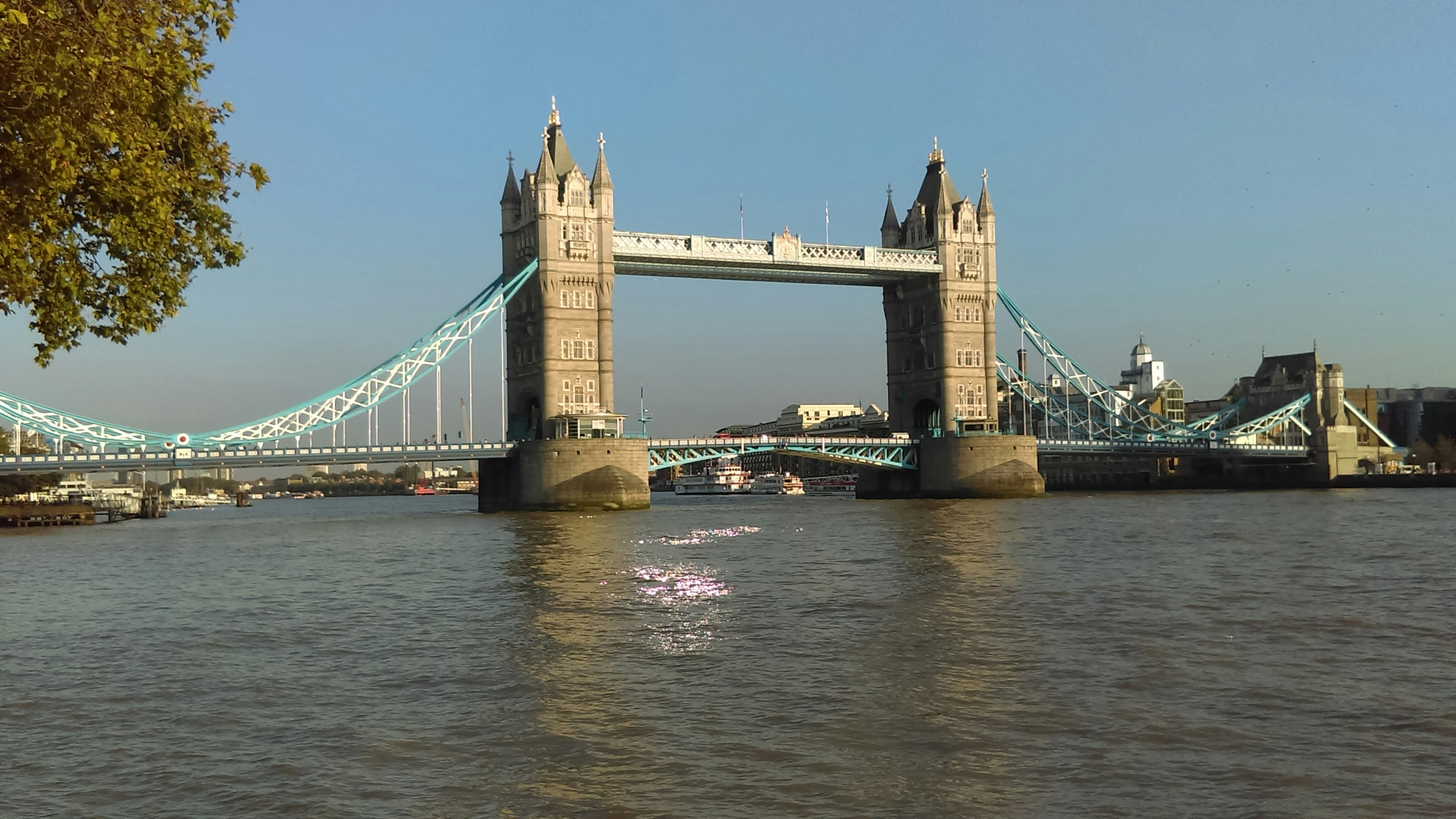 Free Unsplash photo from Sushant Lourenco