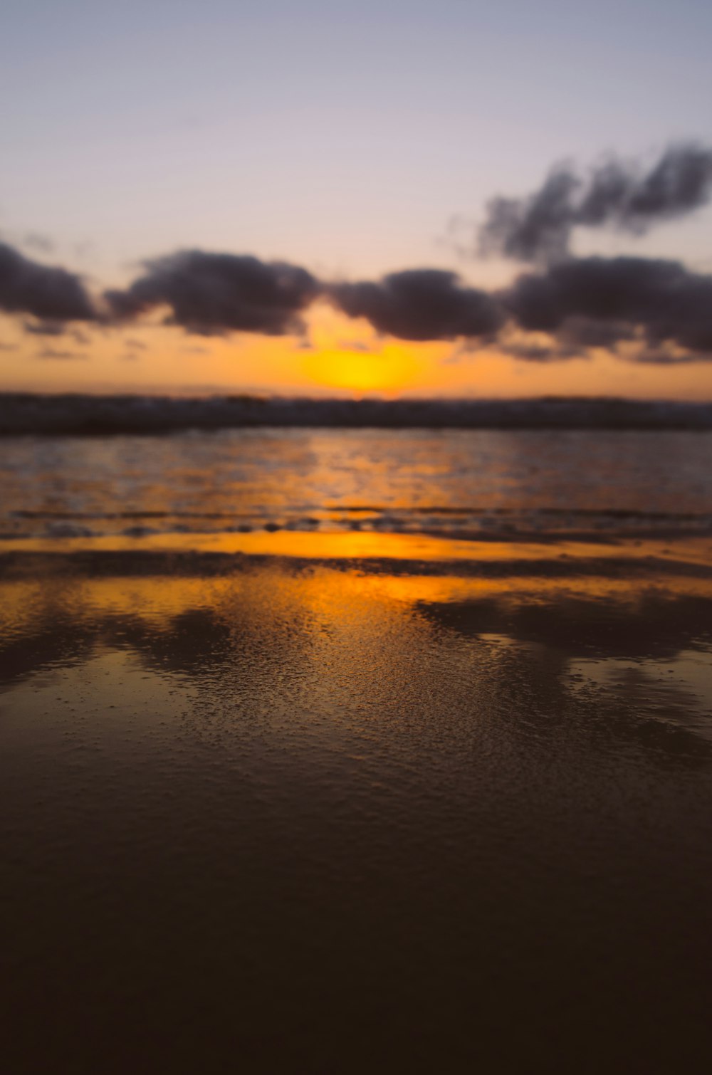 Marrón de la costa durante la puesta de sol