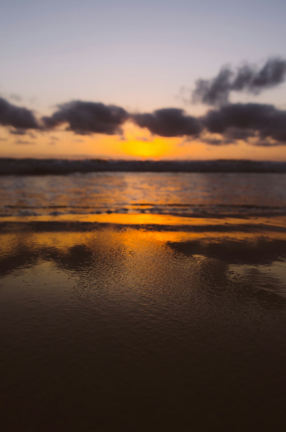 Bord de mer brun au coucher du soleil