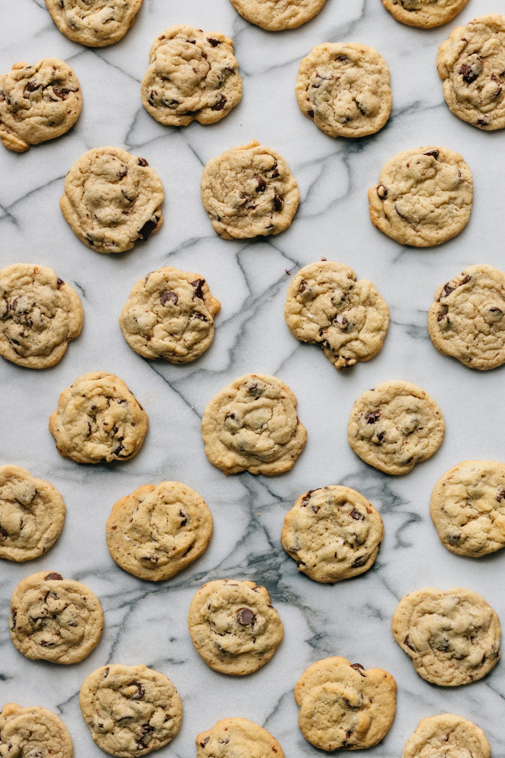 biscoitos assados na superfície de concreto branco