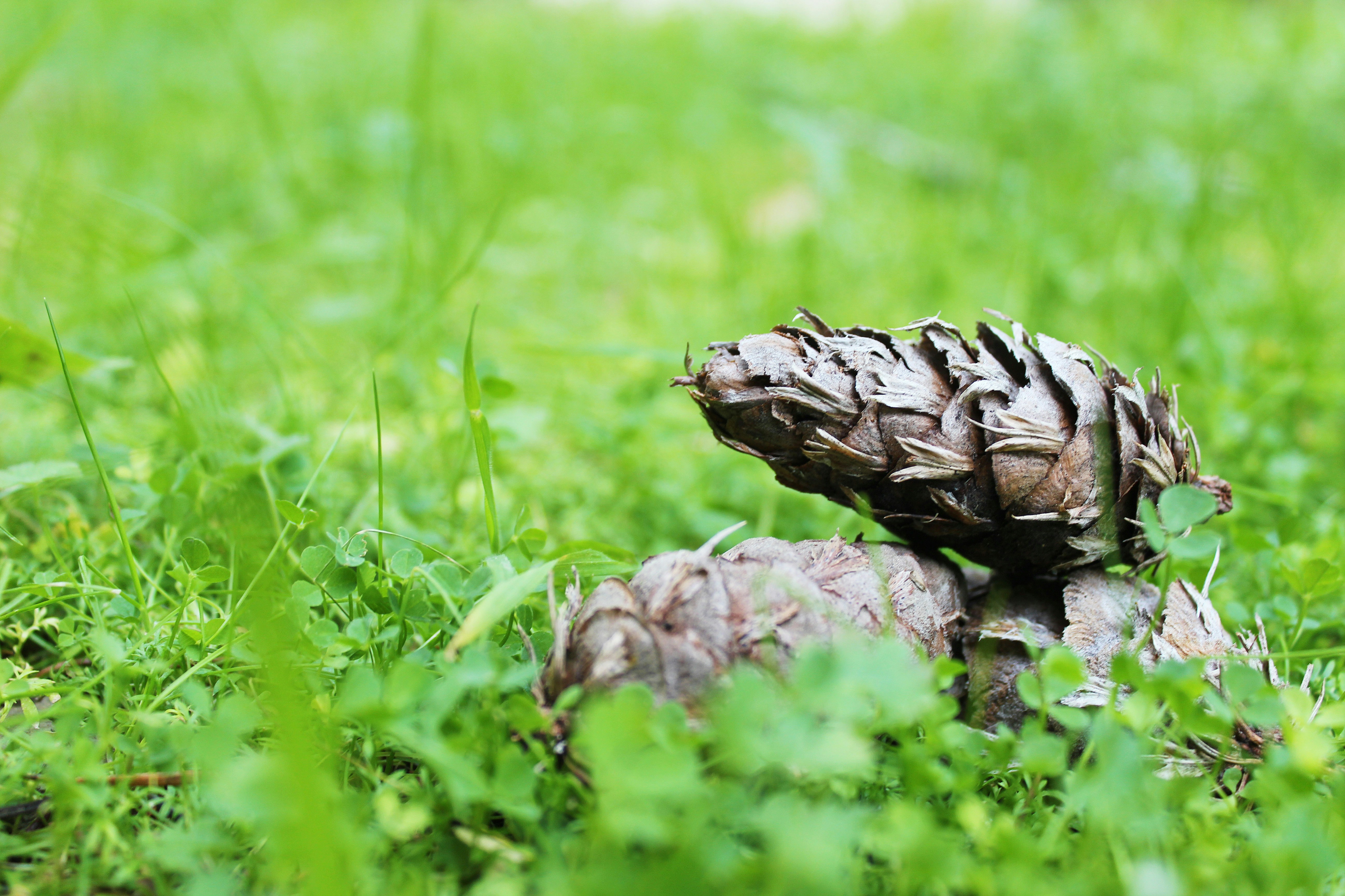 Free Unsplash photo from Erika Jacome