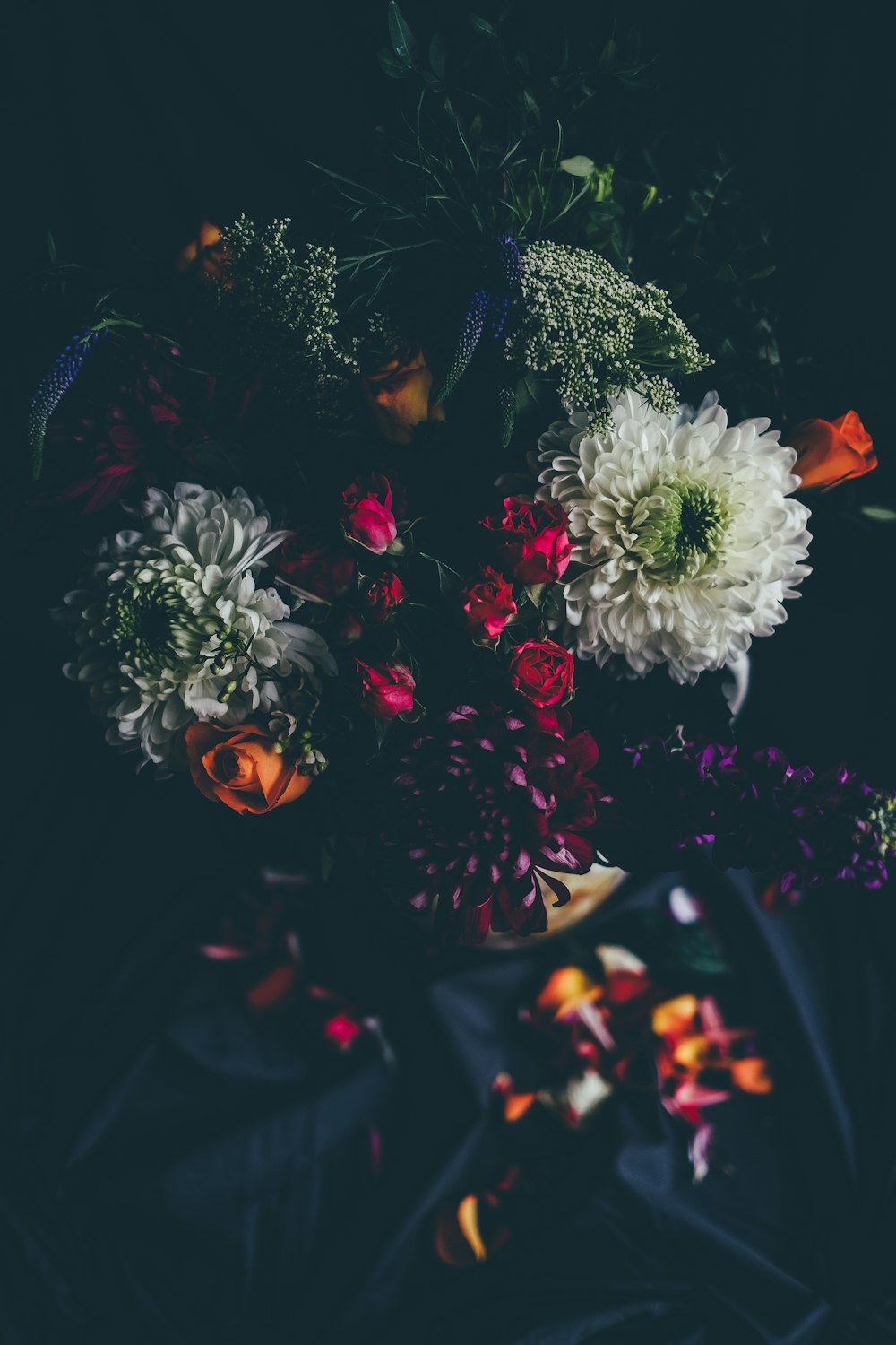 assorted-color petaled flowers