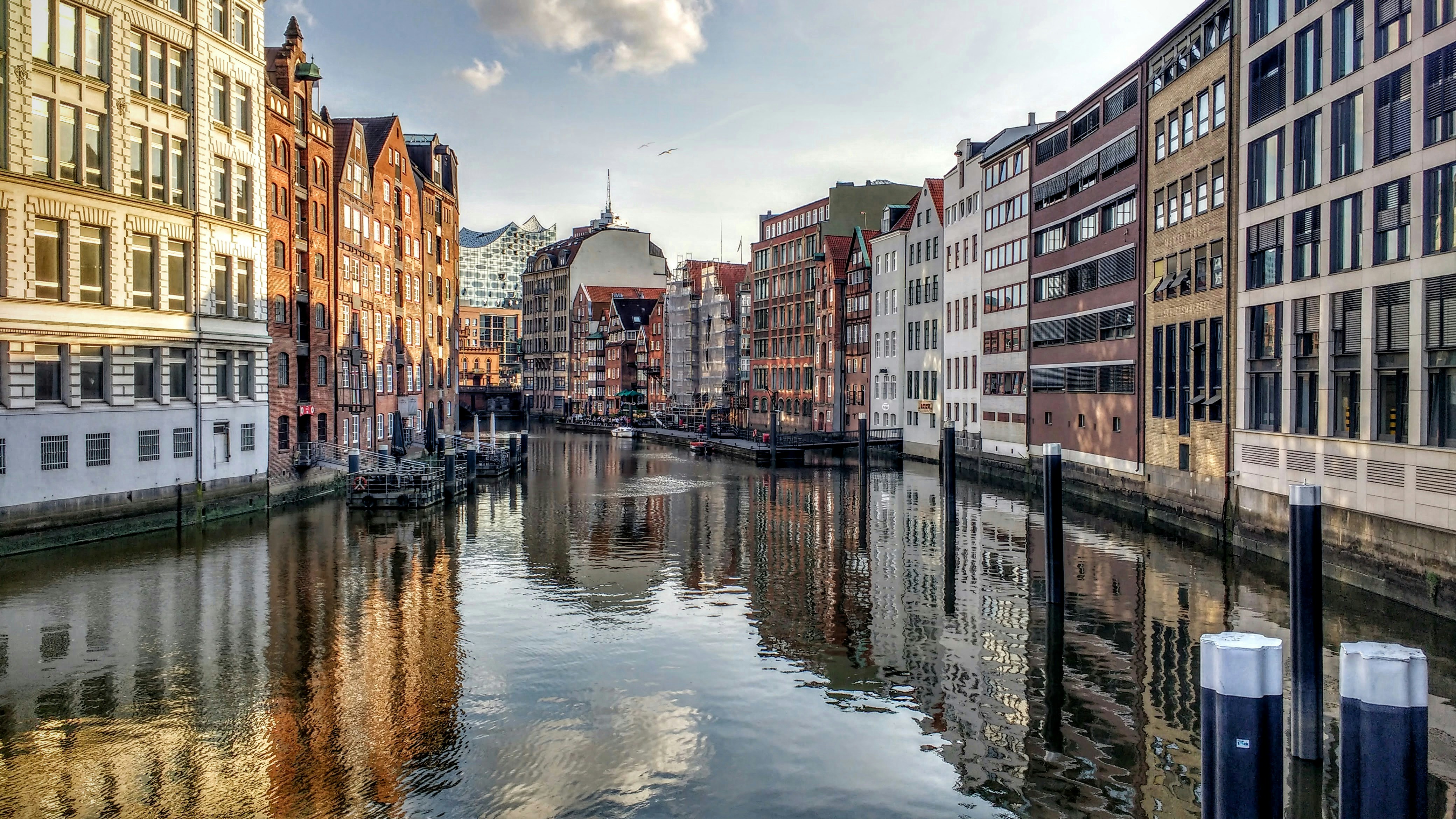 Free Unsplash photo from Patrick Federi