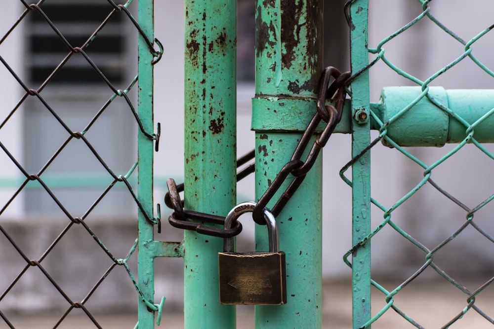 green metal gate with brown metal padlock