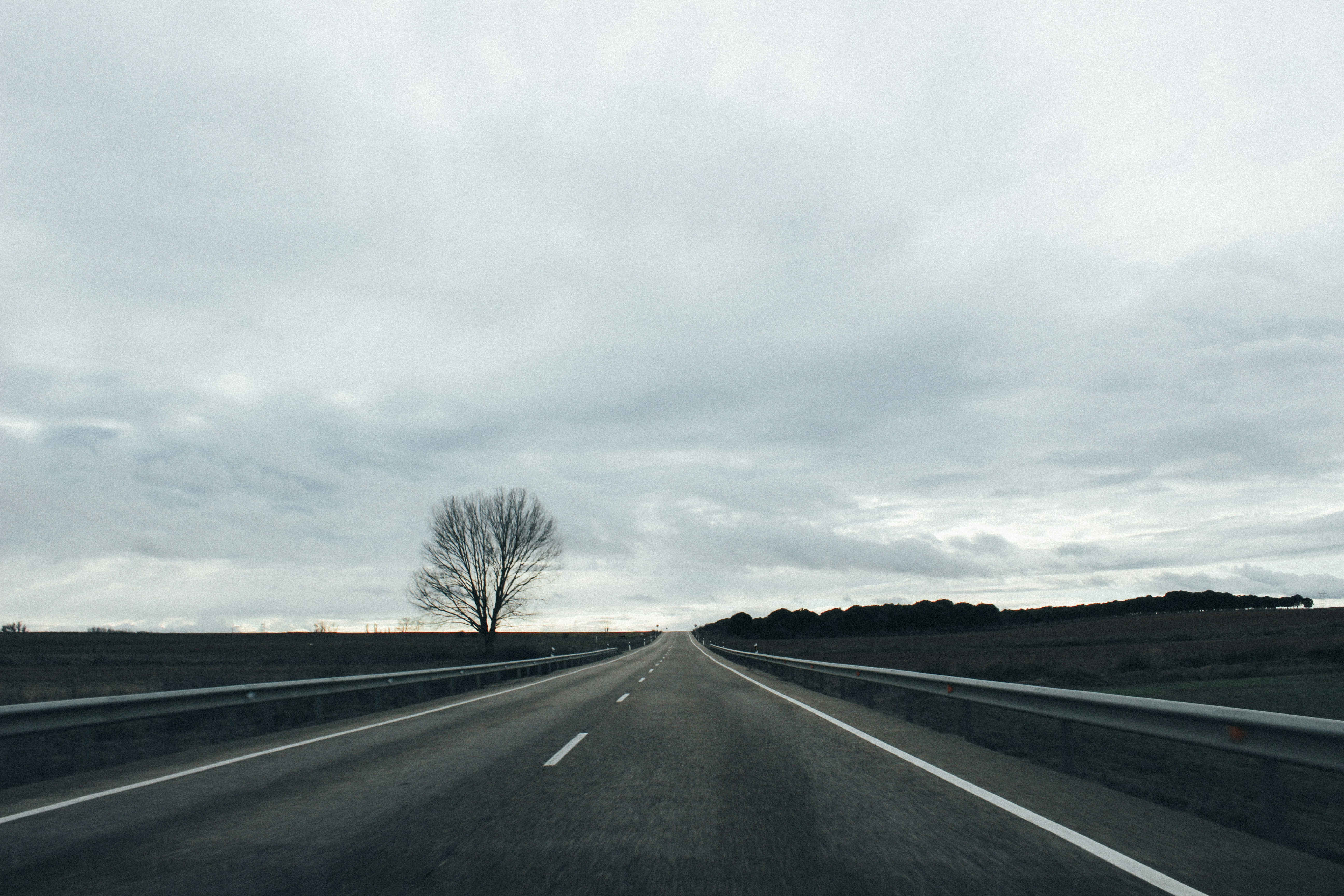 Free Unsplash photo from Pedro  Cunha