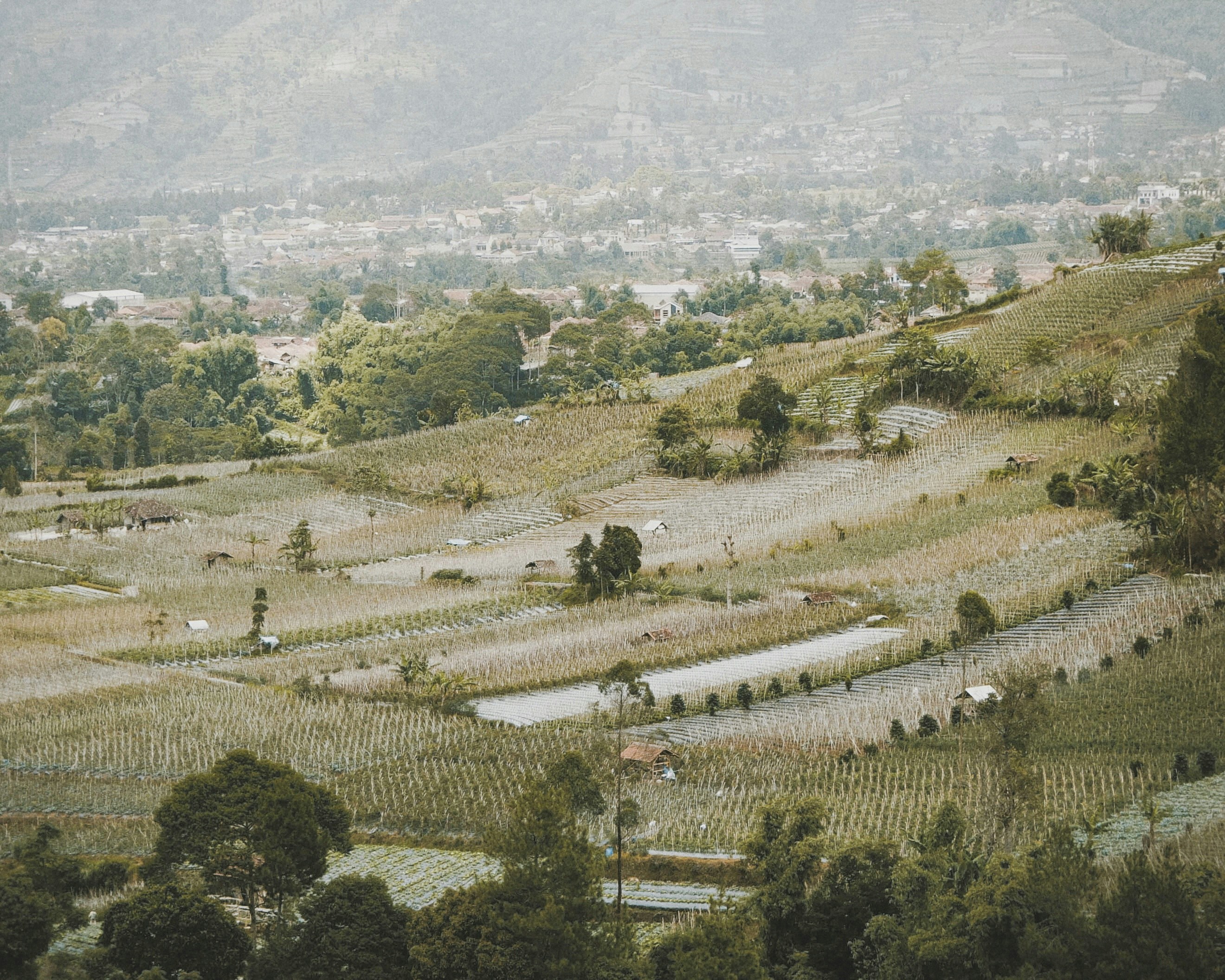 Free Unsplash photo from Dian Herdiansyah