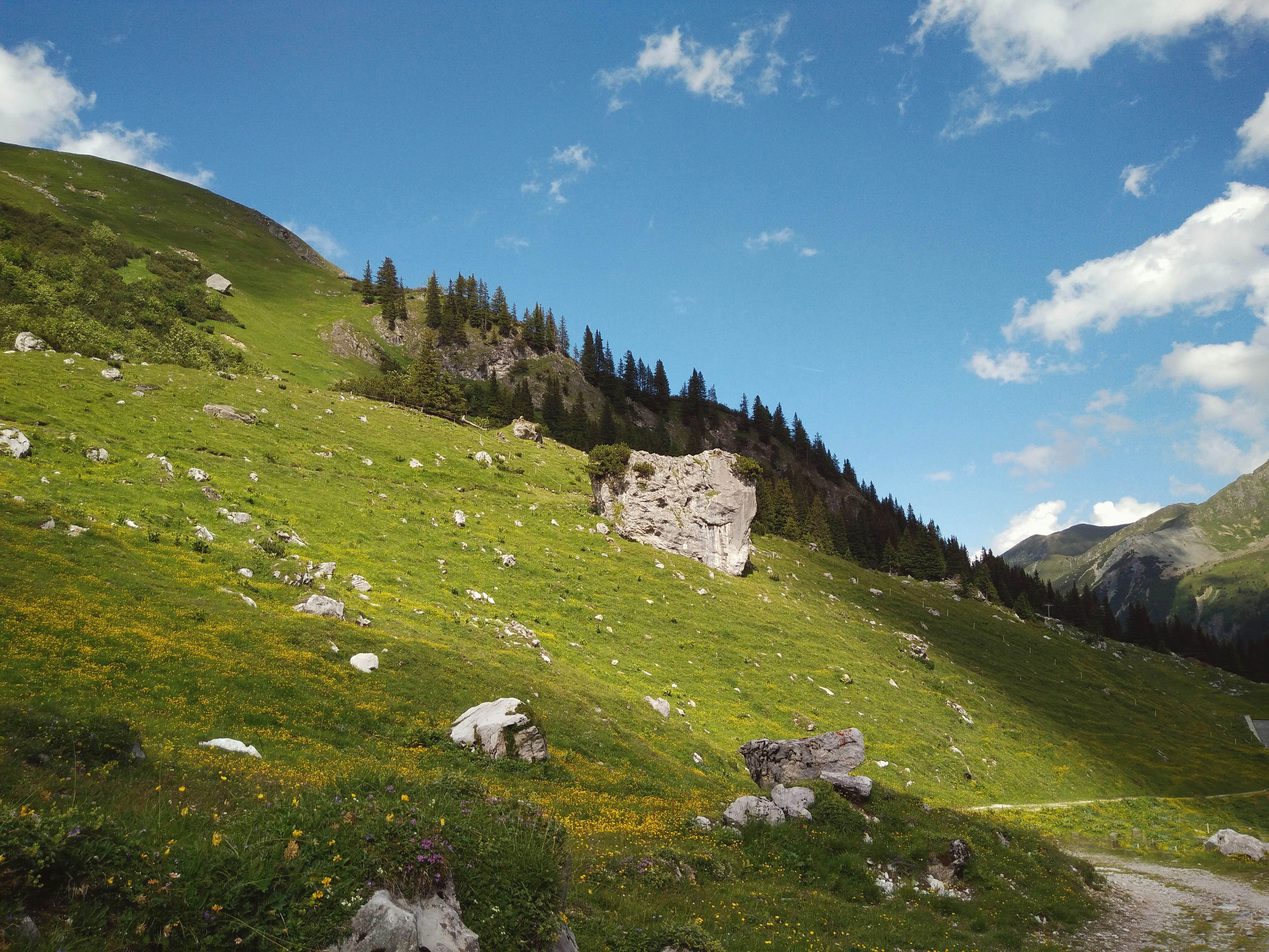 Free Unsplash photo from Job Savelsberg