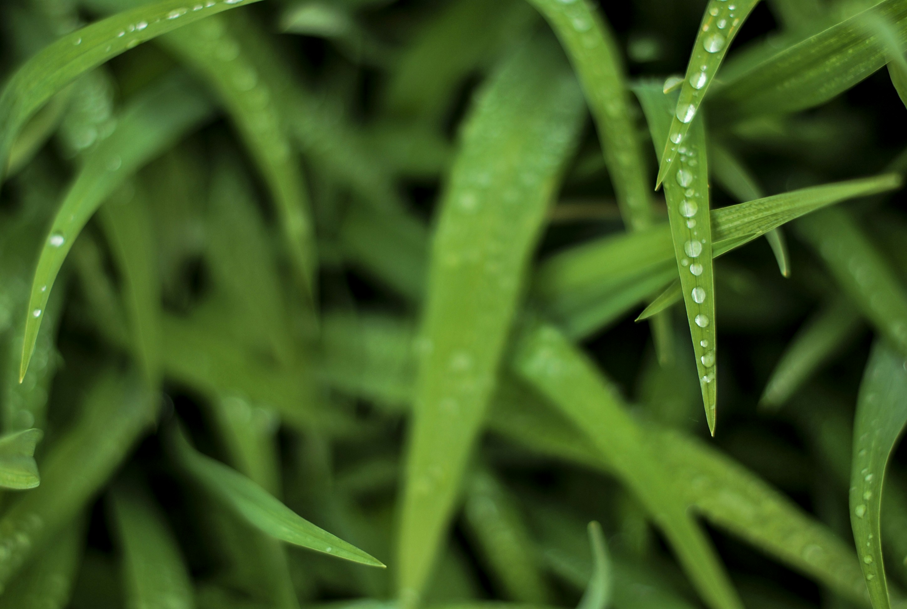 Free Unsplash photo from Sylwia Pietruszka