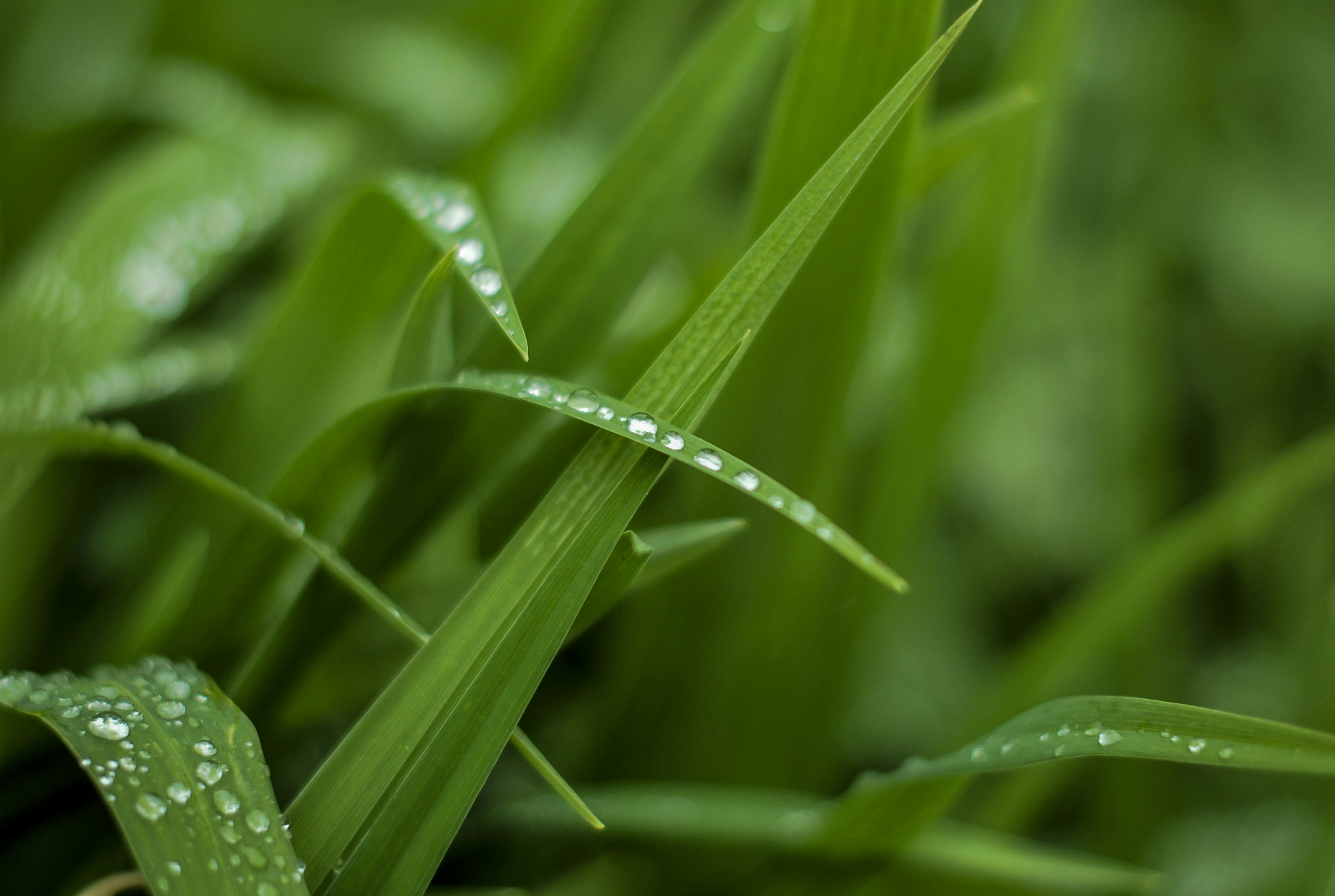 Free Unsplash photo from Sylwia Pietruszka