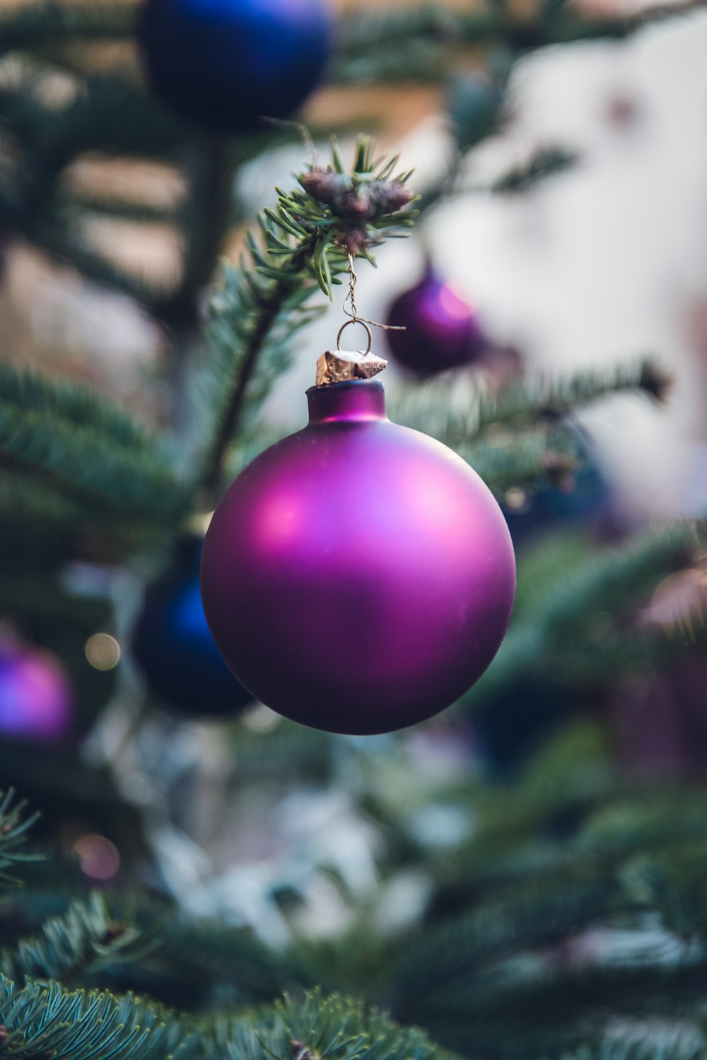 purple Christmas ball hang on Christmas tree