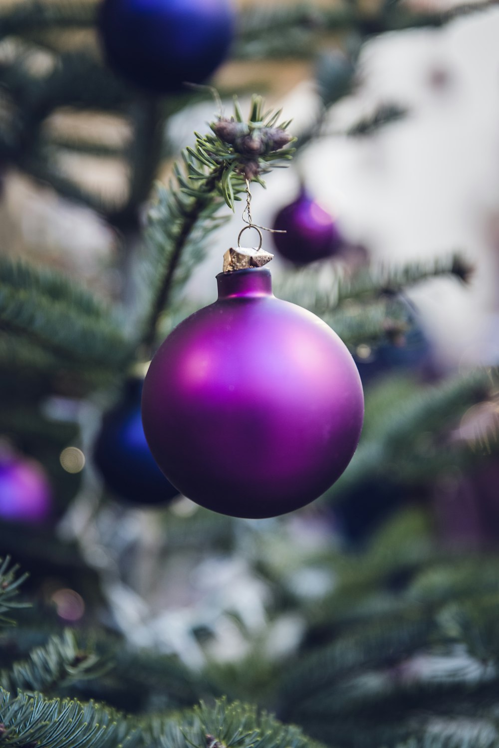 bola de Navidad púrpura cuelga en el árbol de Navidad