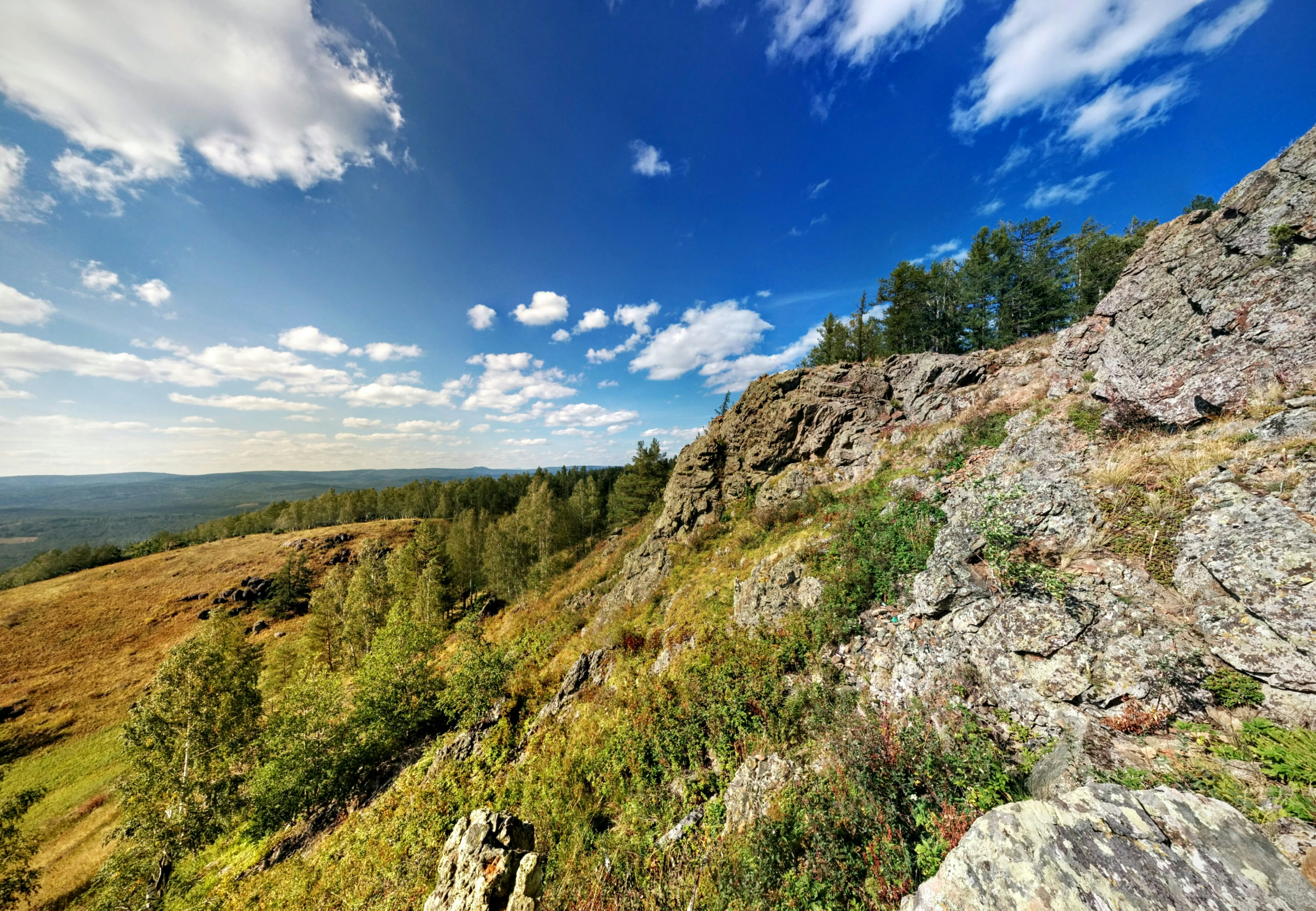 Free Unsplash photo from Alex Bagirov