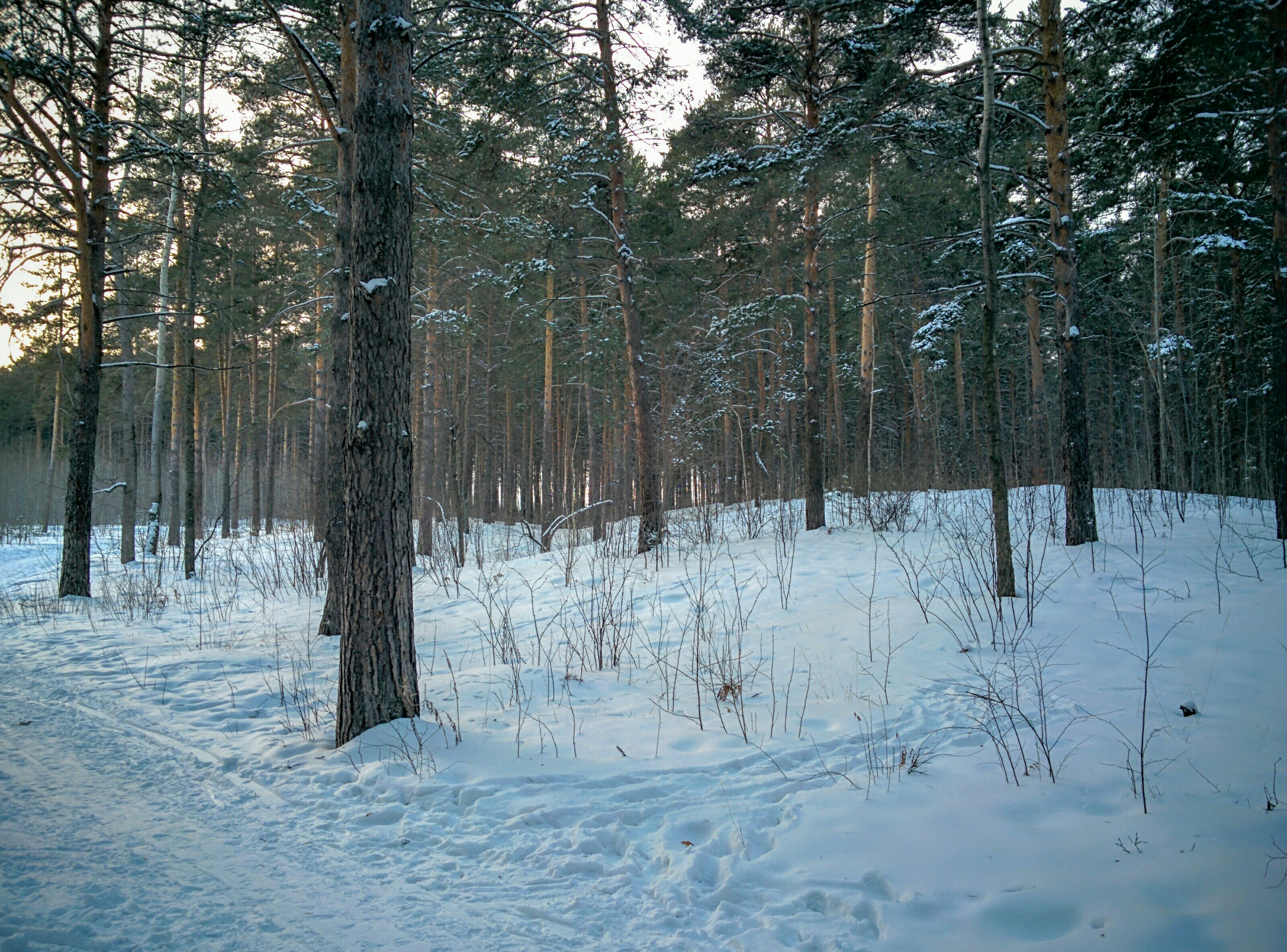 Free Unsplash photo from Alex Bagirov