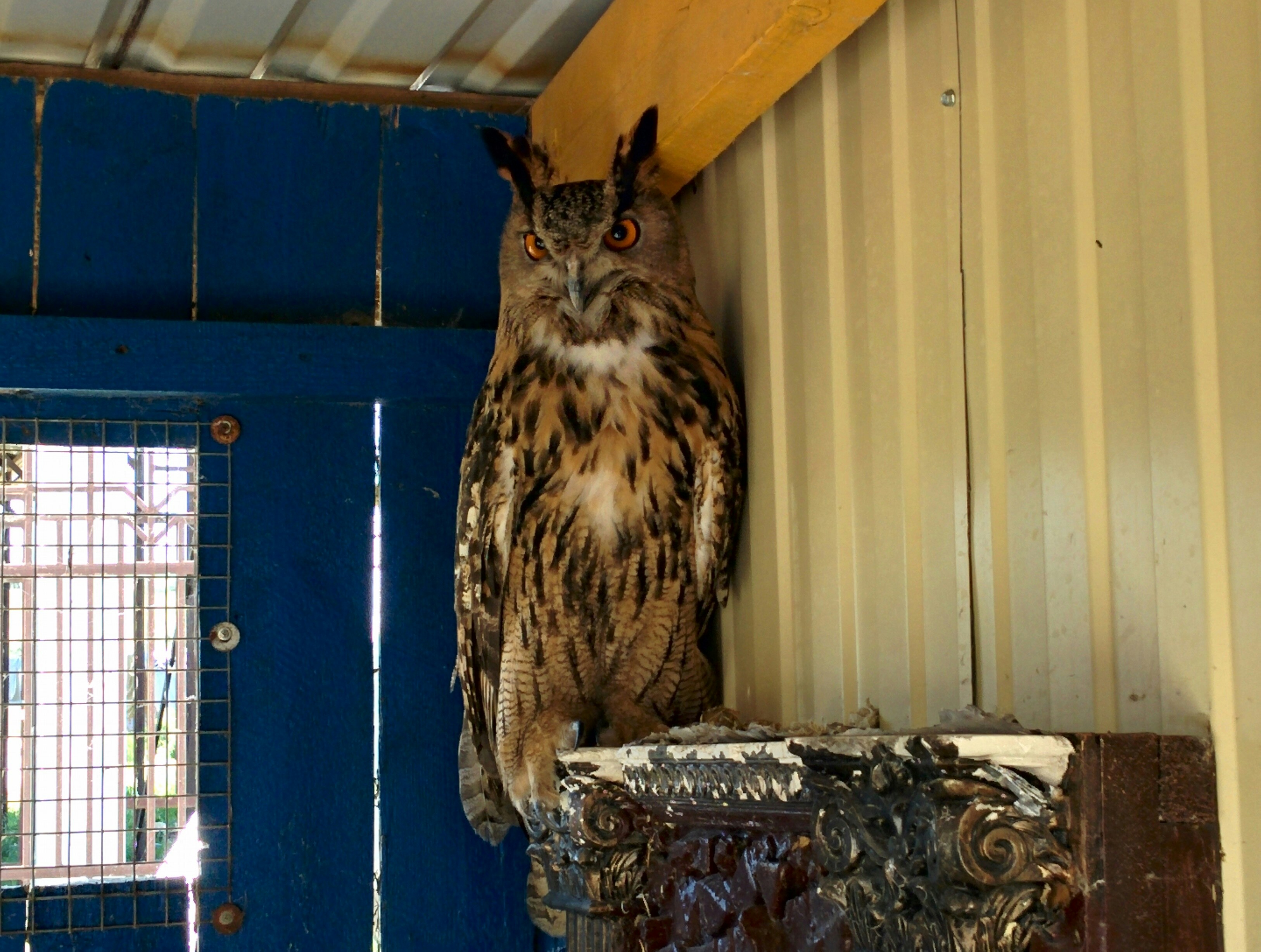 Free Unsplash photo from Alex Bagirov