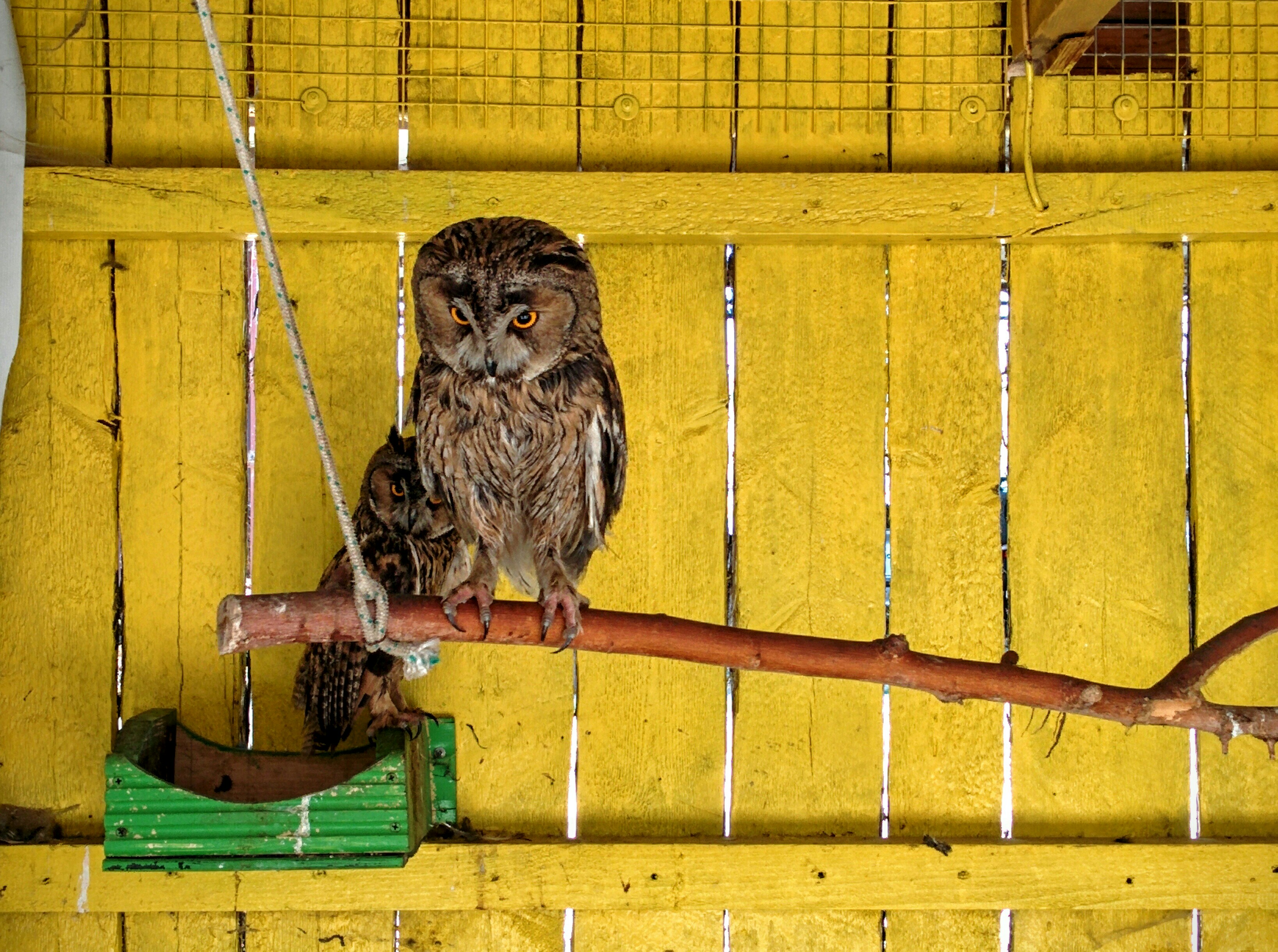 Free Unsplash photo from Alex Bagirov