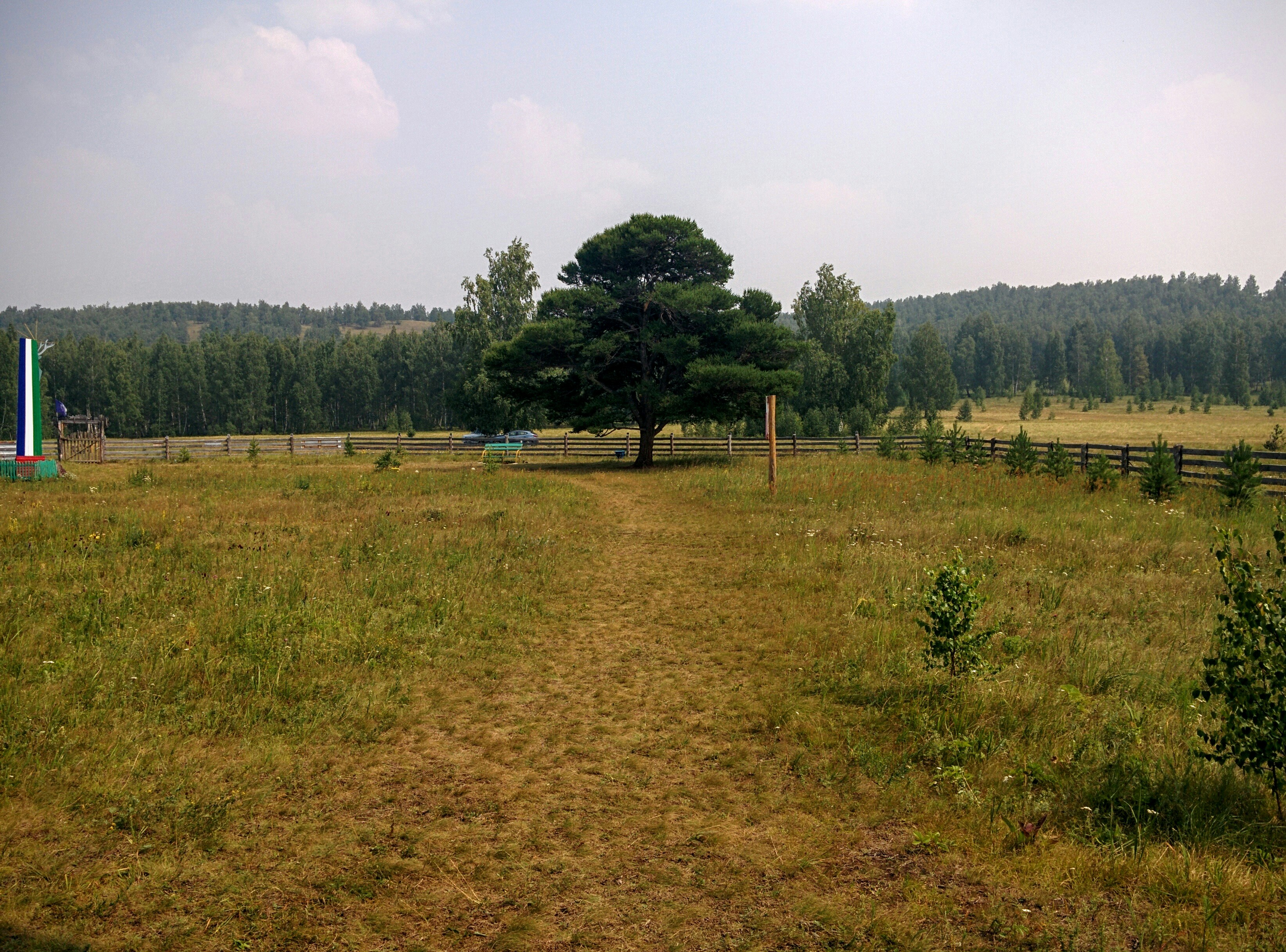 Free Unsplash photo from Alex Bagirov